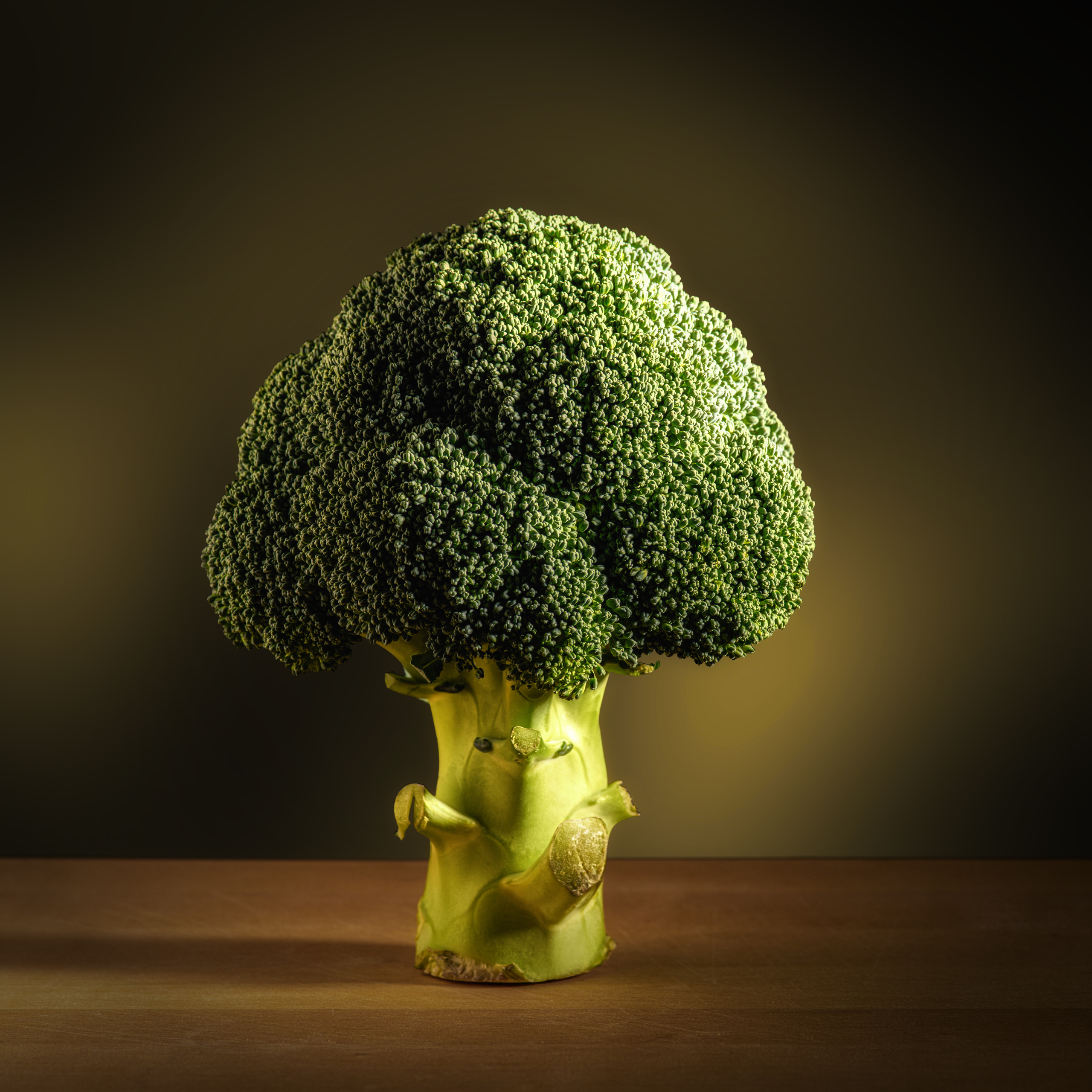 Предметная съемка. Пейзажный и семейный фотограф в Санкт-Петербурге Александр Белов