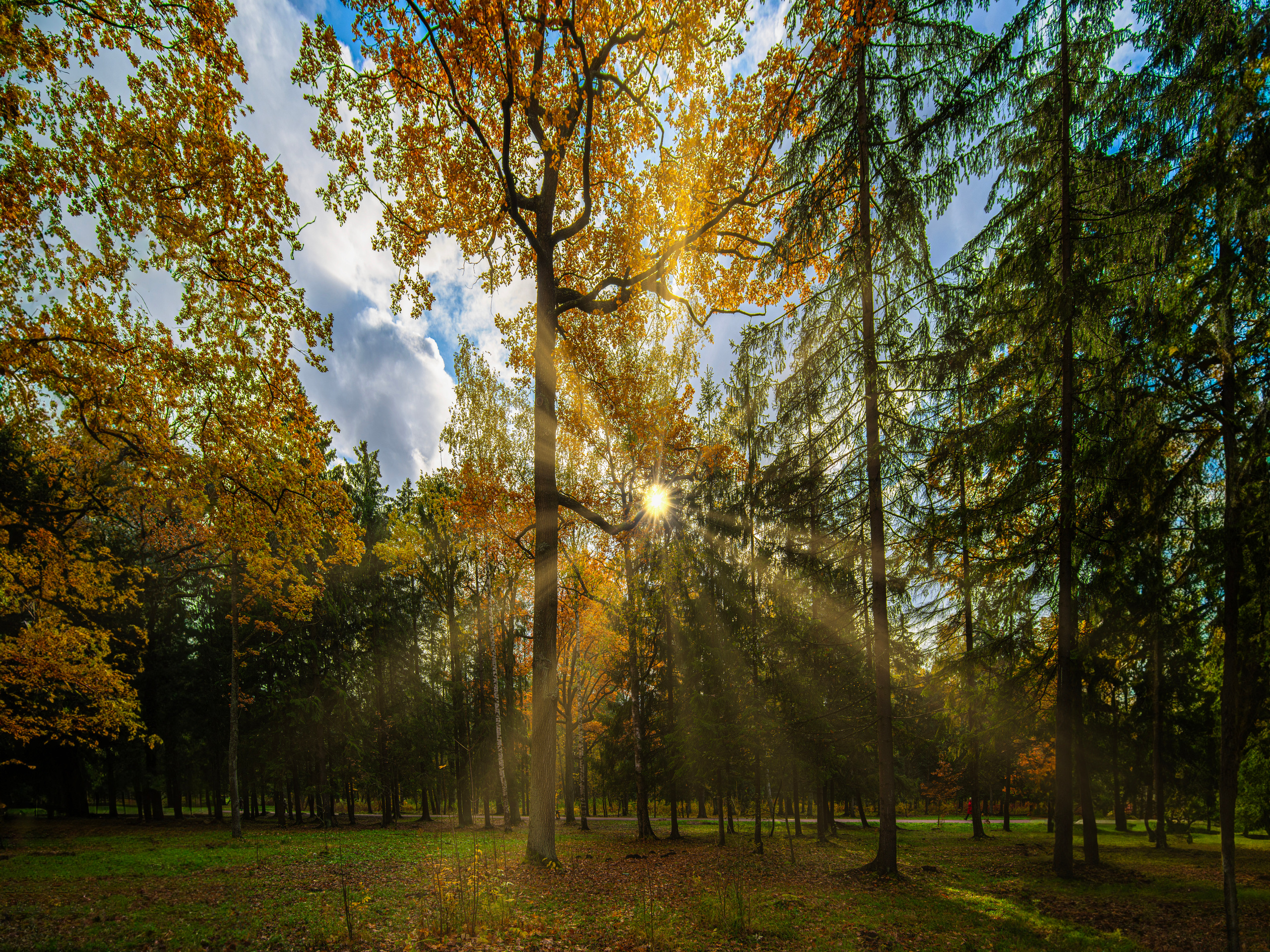 Царское село. Пейзажный и семейный фотограф в Санкт-Петербурге Александр Белов