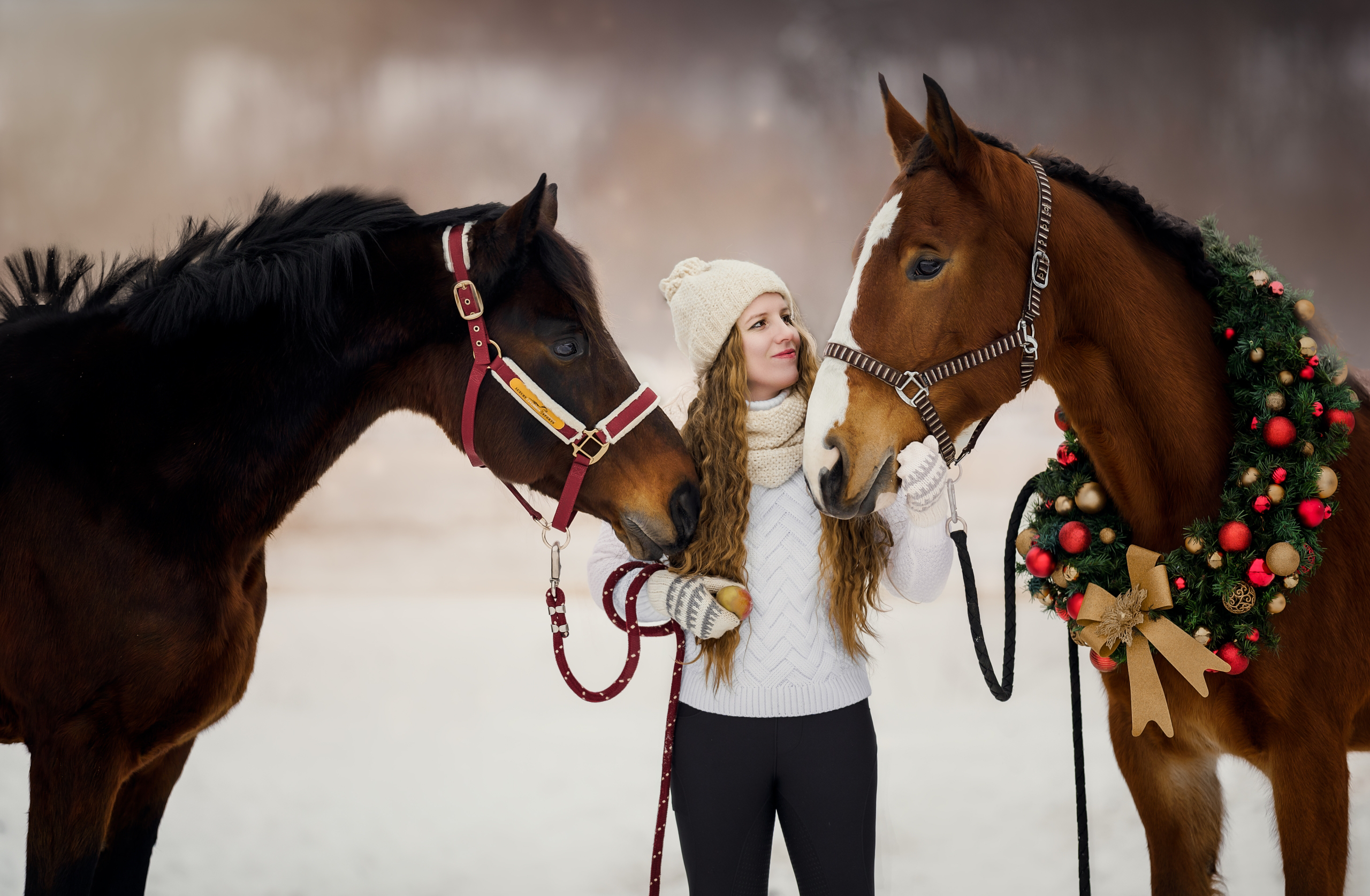Фотосессии с лошадьми. Фотограф Артемьева Катерина|фотосессии с лошадьми