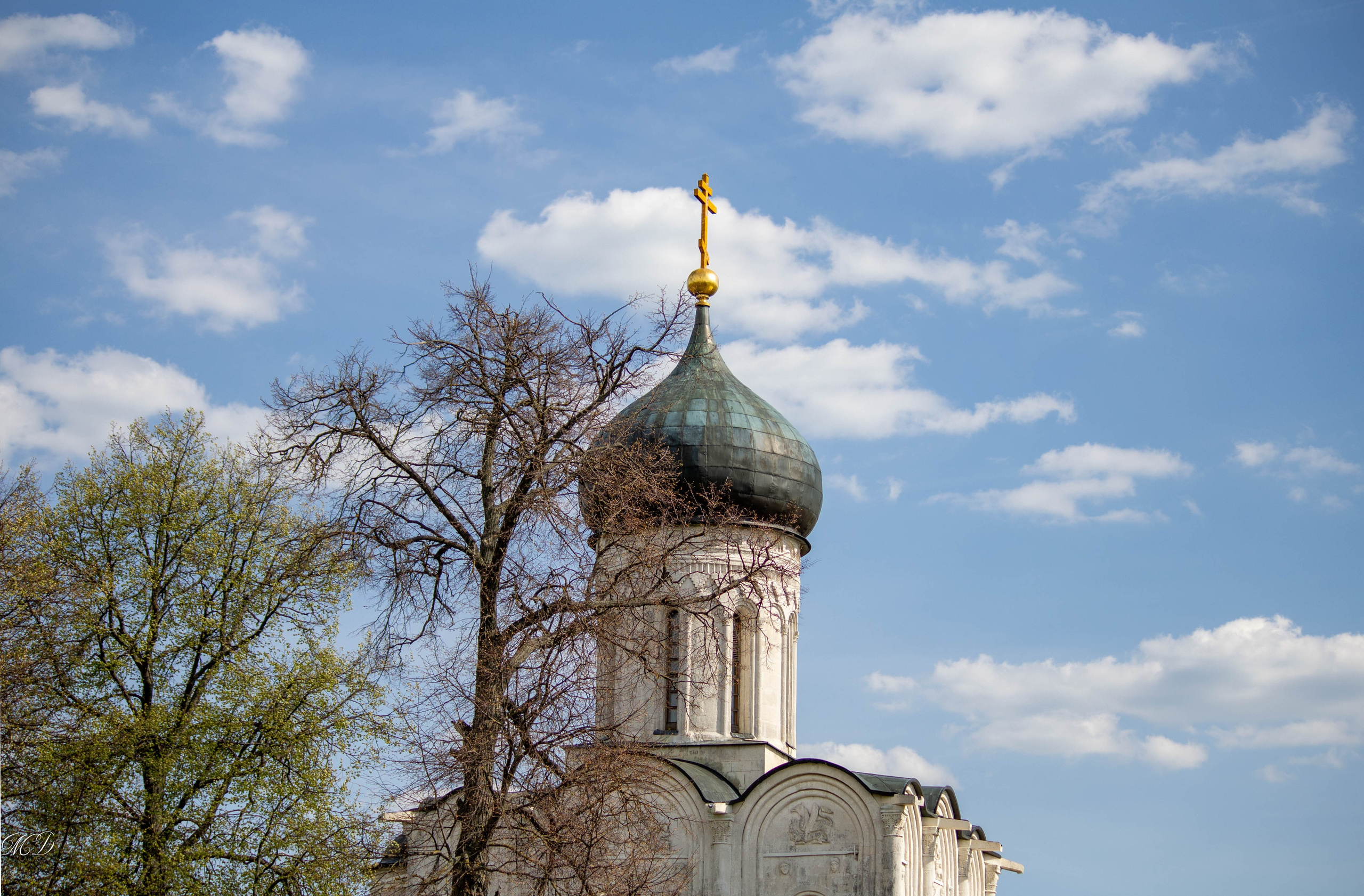 Боголюбово. Михаил Дёгтев - фотограф