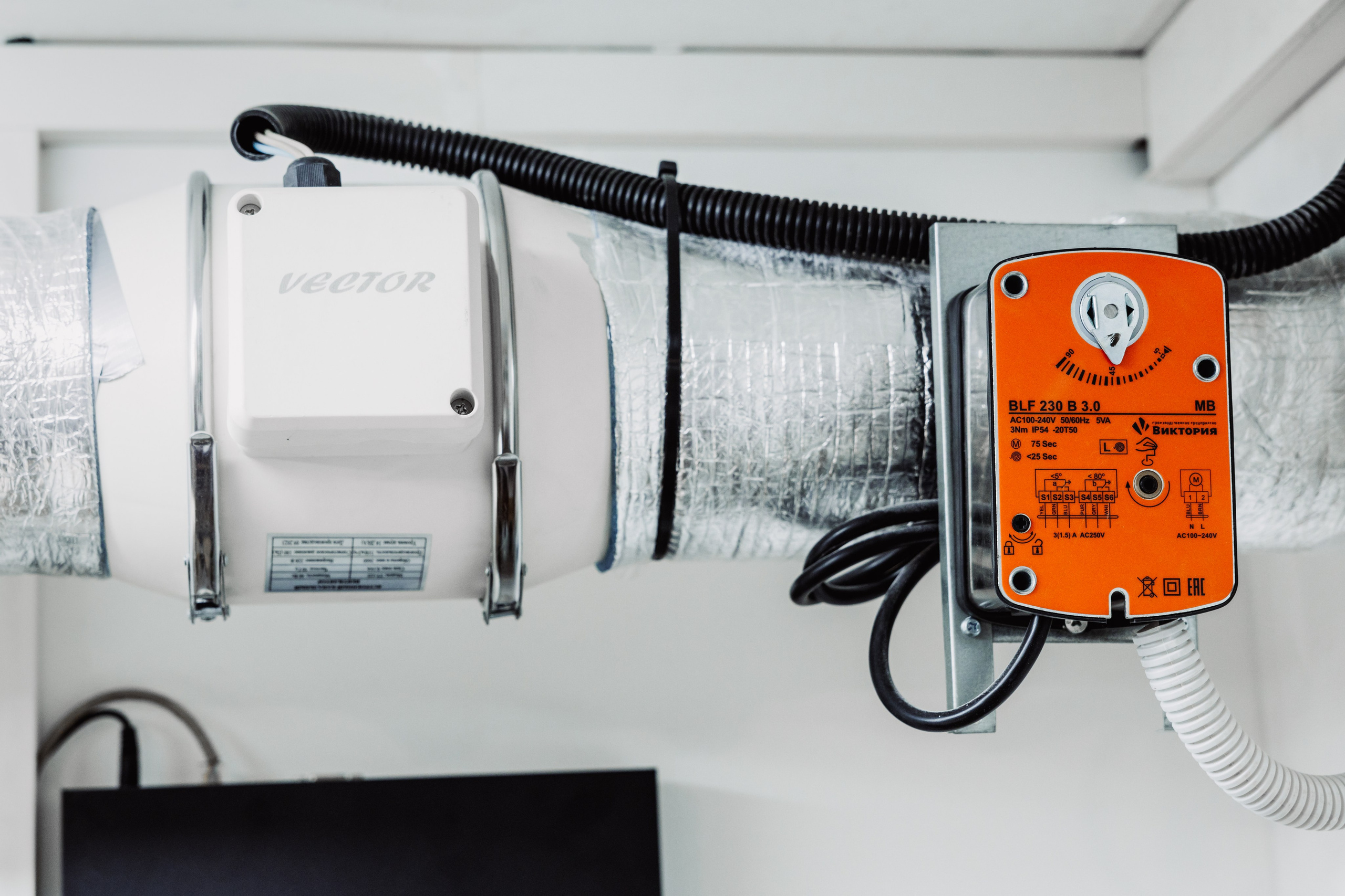 ЧЕБ И РЕК | РИО. ФОТОГРАФ ИРИНА ШАМАТАВА