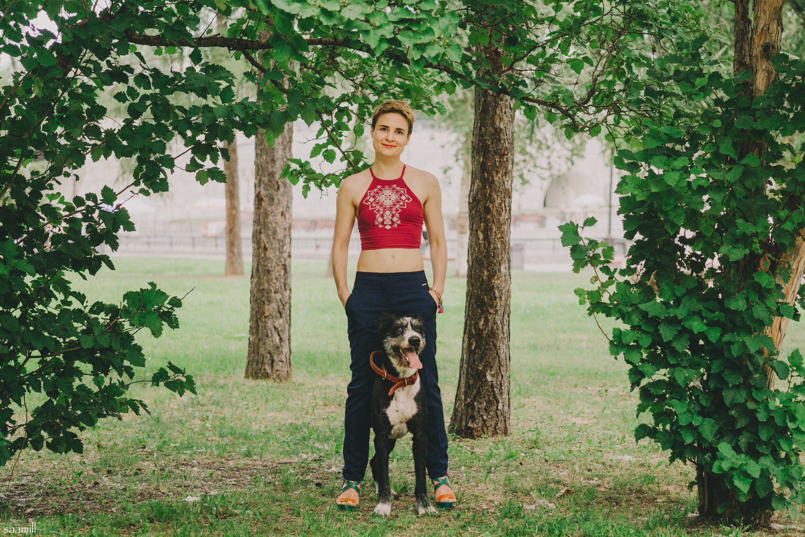 Life with dog. Saamill