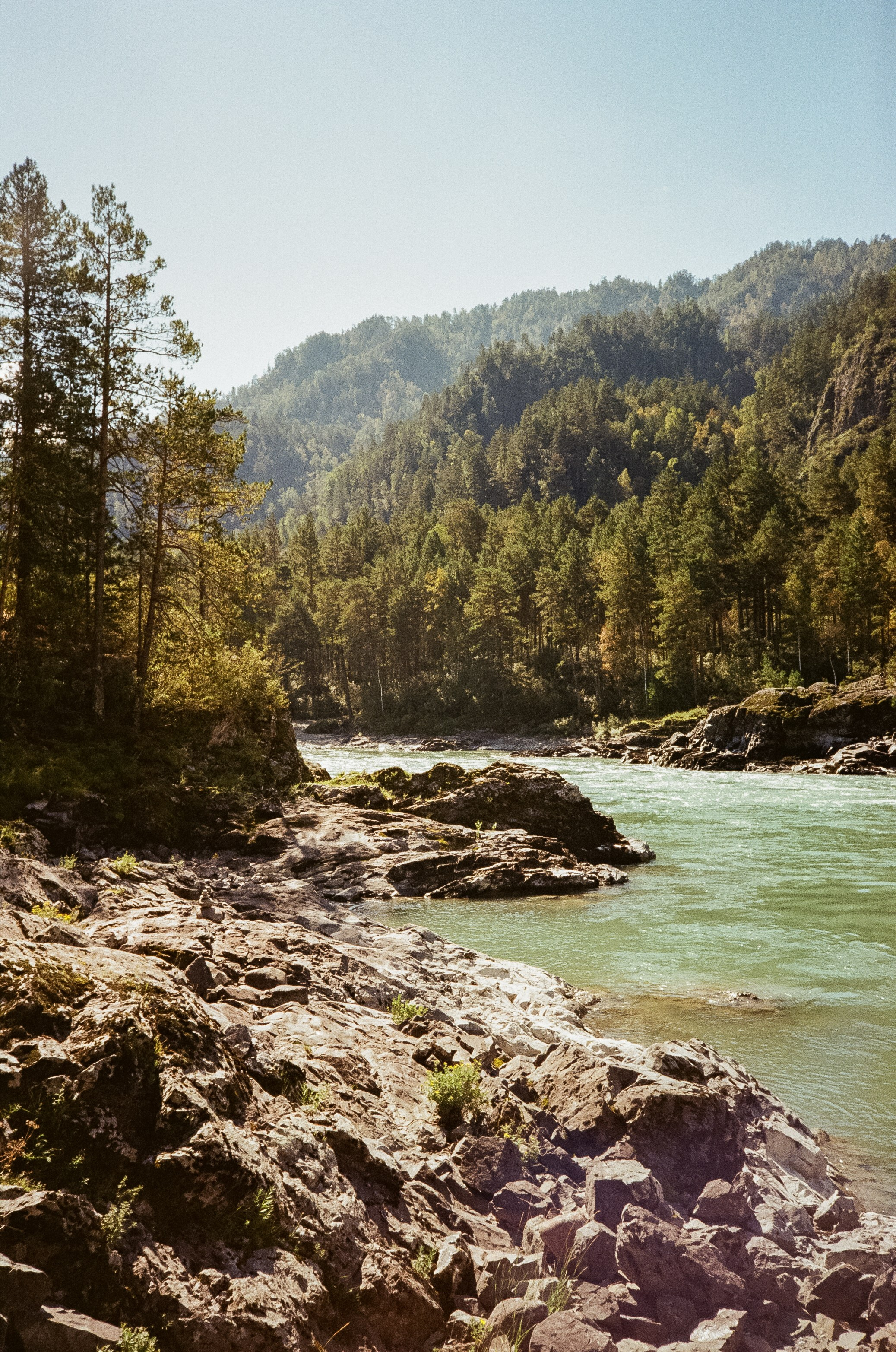 Кедровый остров. Бирюзовая Катунь. Фотограф-документалист Мария Осокина