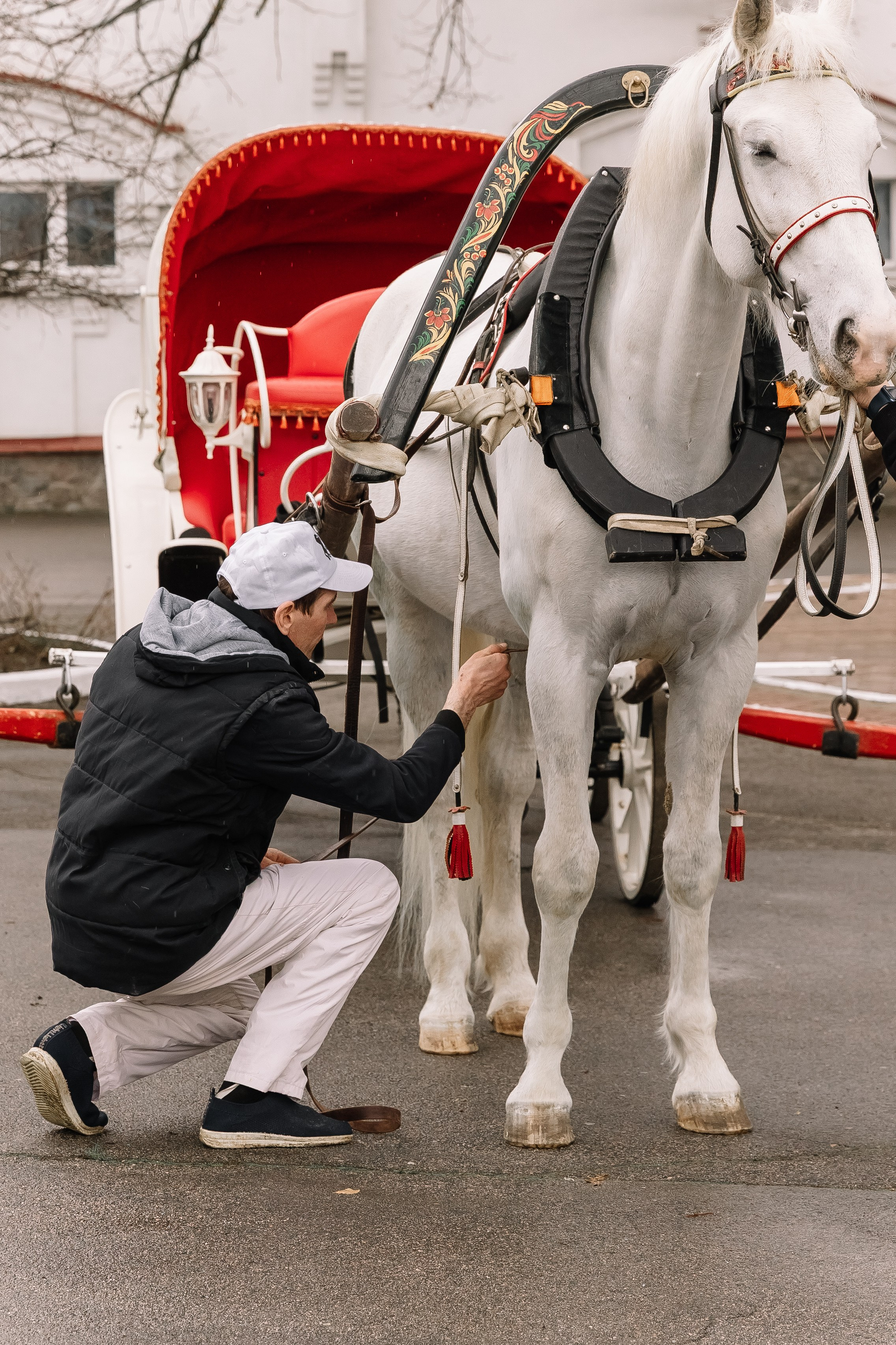 День Орловского рысака. Парк-отель Яр. Свадебный, репортажный фотограф Ирина Шкурина