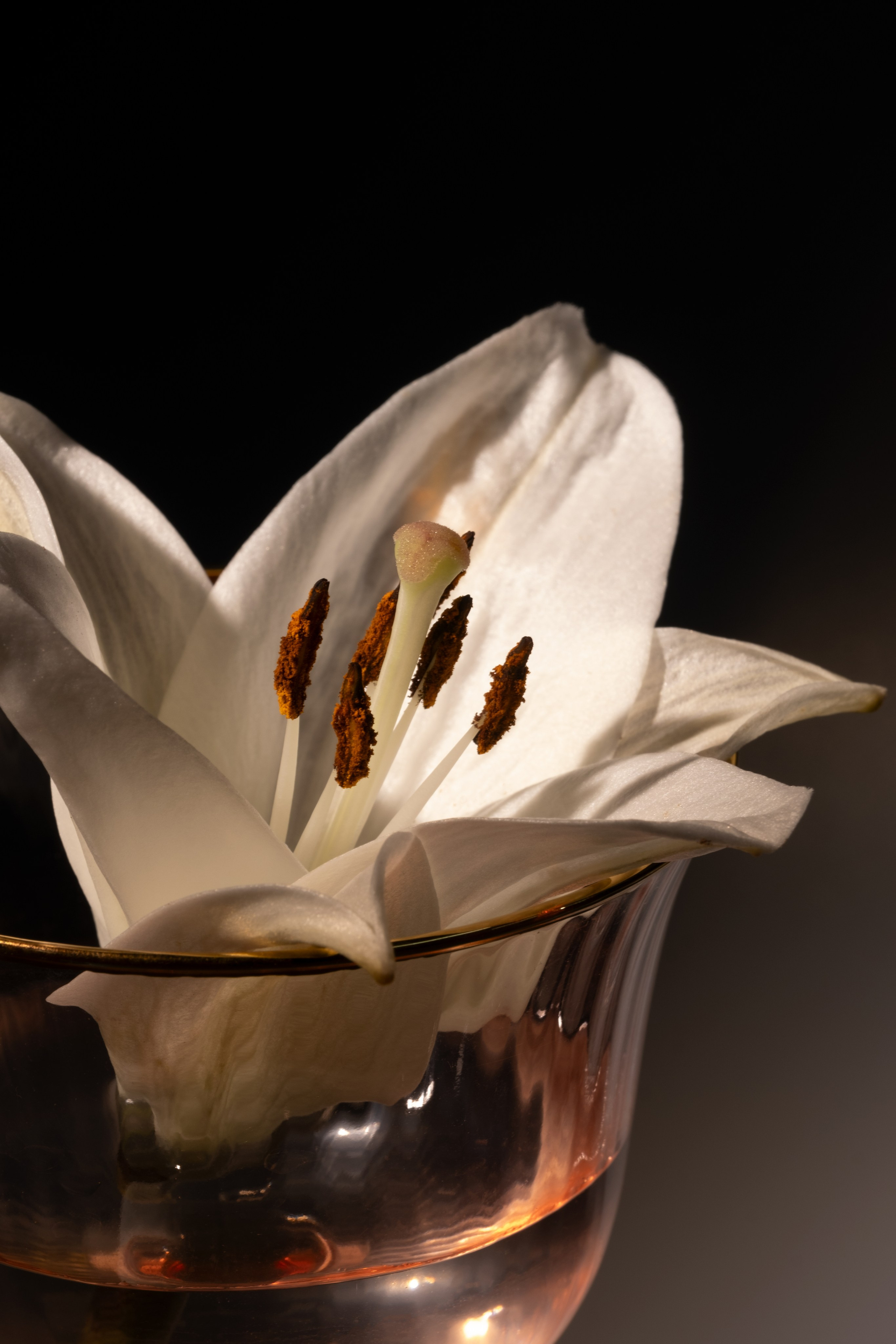 Лилия в фужере. Фотограф Коробова Екатерина