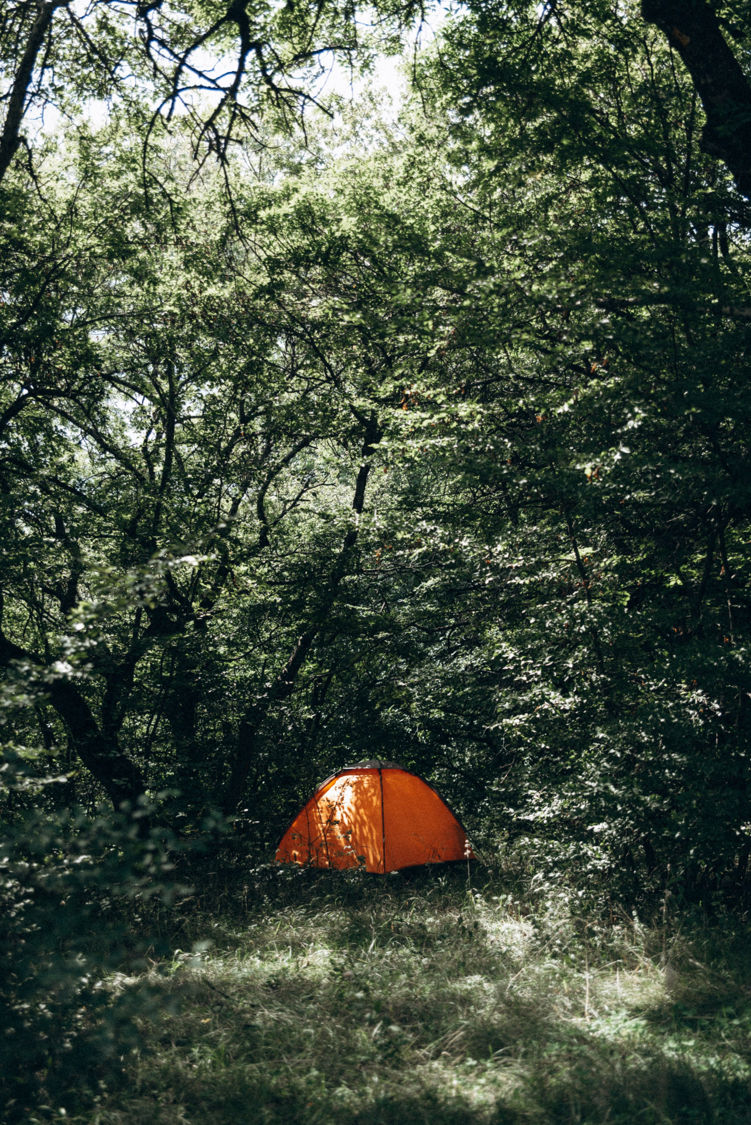 Harmoyfest 2023 Georgia 🇬🇪. Anita_photo