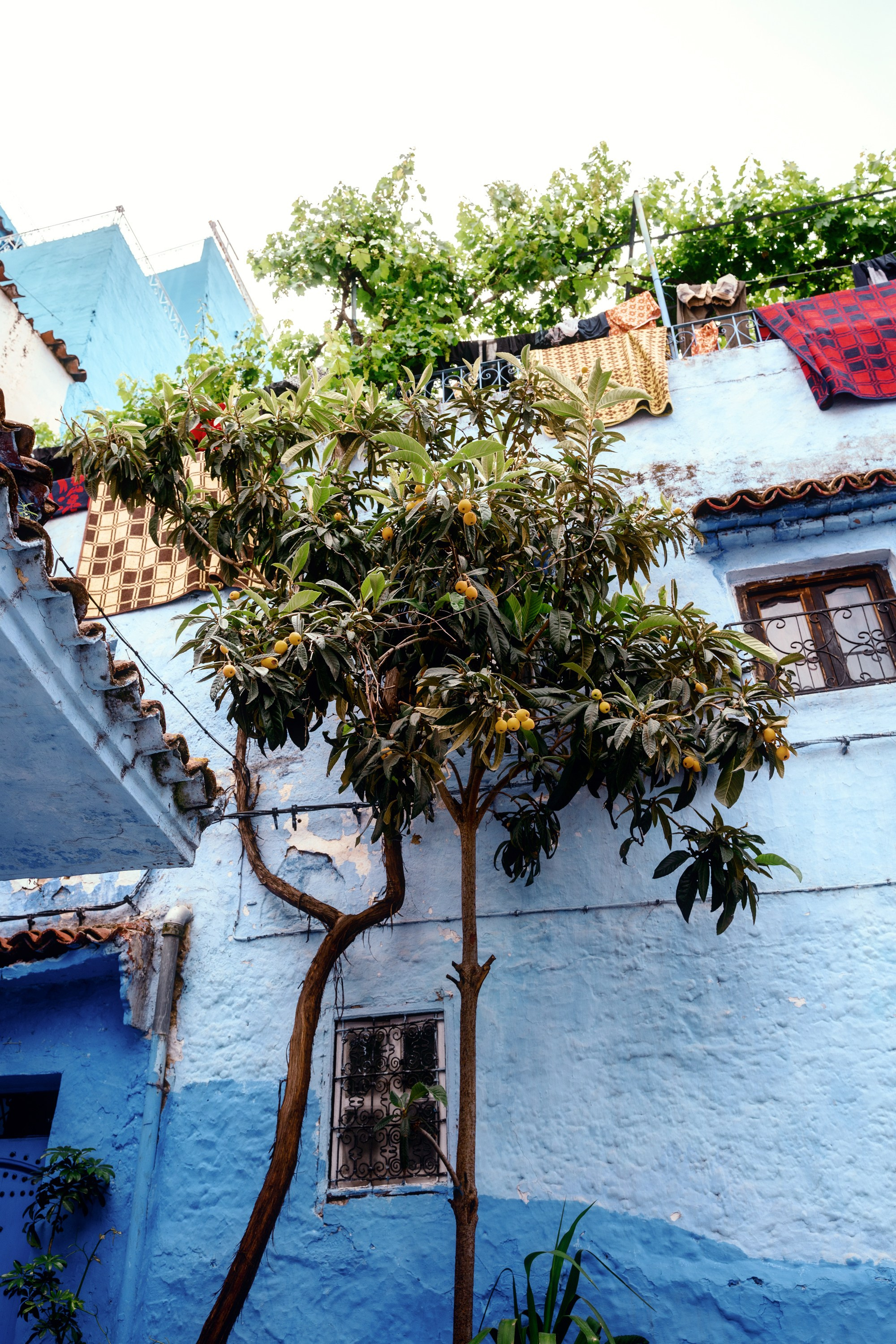 Северная Африка: Тунис, Марокко. Фотограф в Хабаровске. Фотография за 24 часа