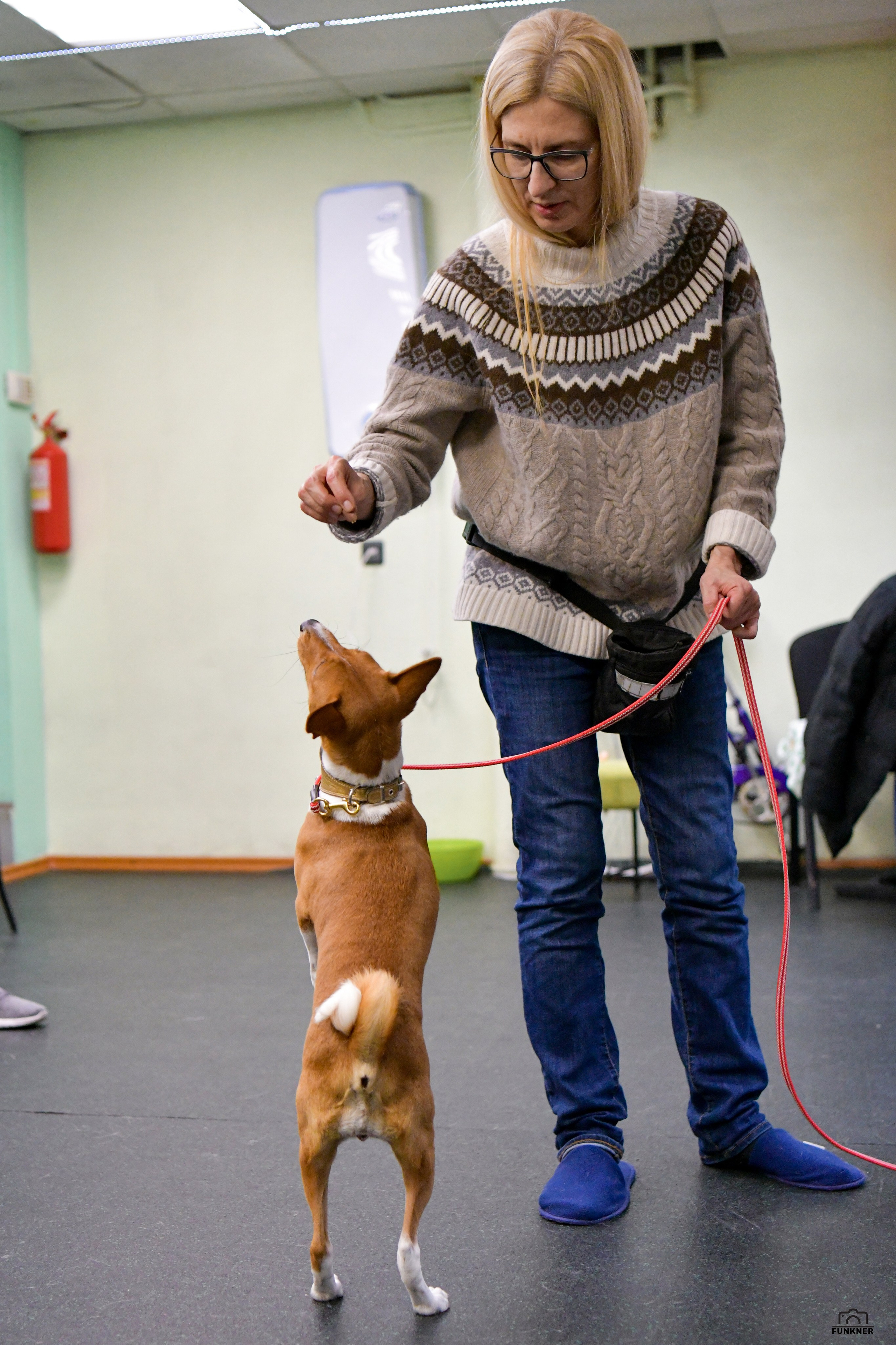 Кинологический клуб «Бодрый хвост». Свой взгляд через объектив