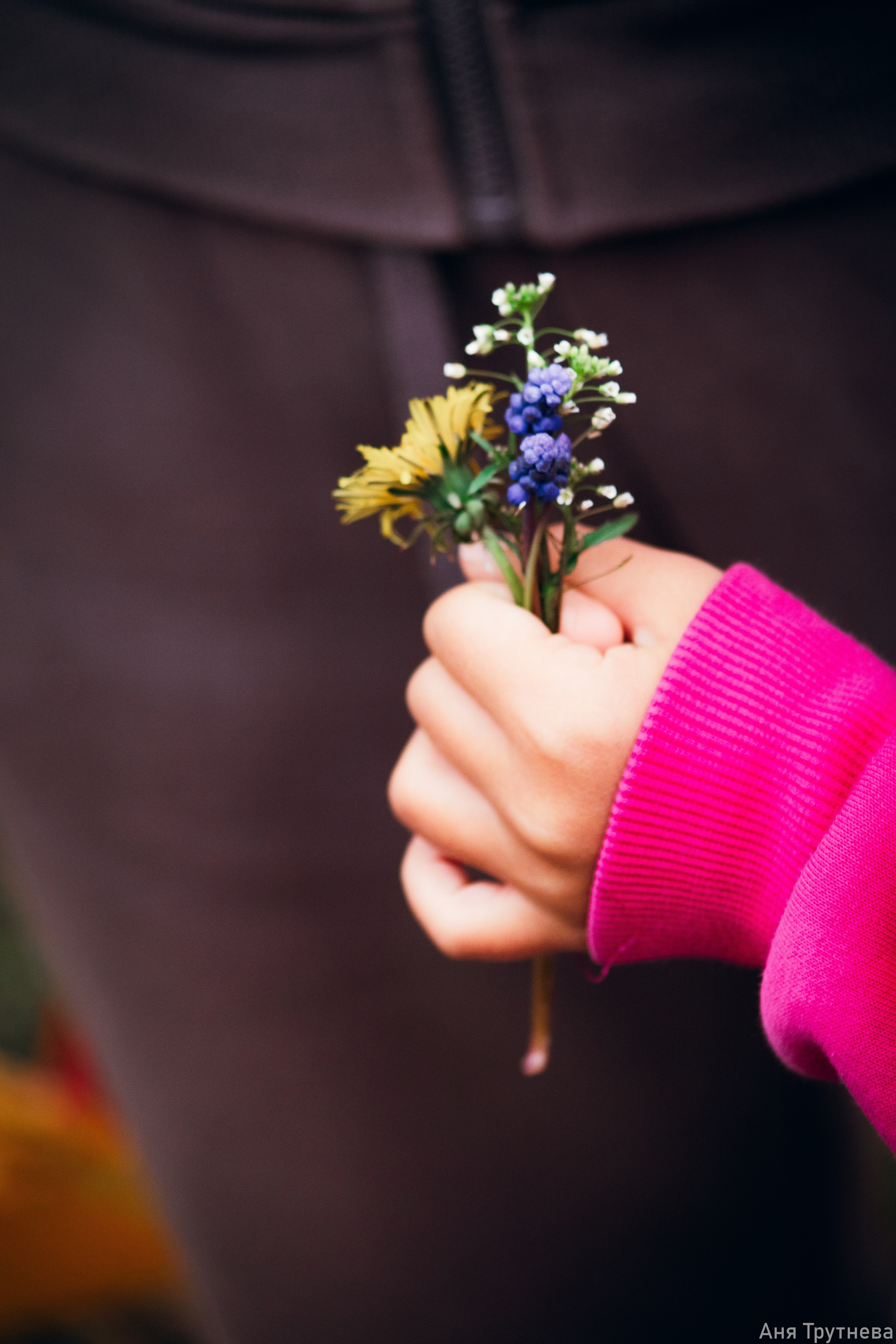 9 мая 2025. Фотограф и видеограф в Бугульме Аня Трутнева