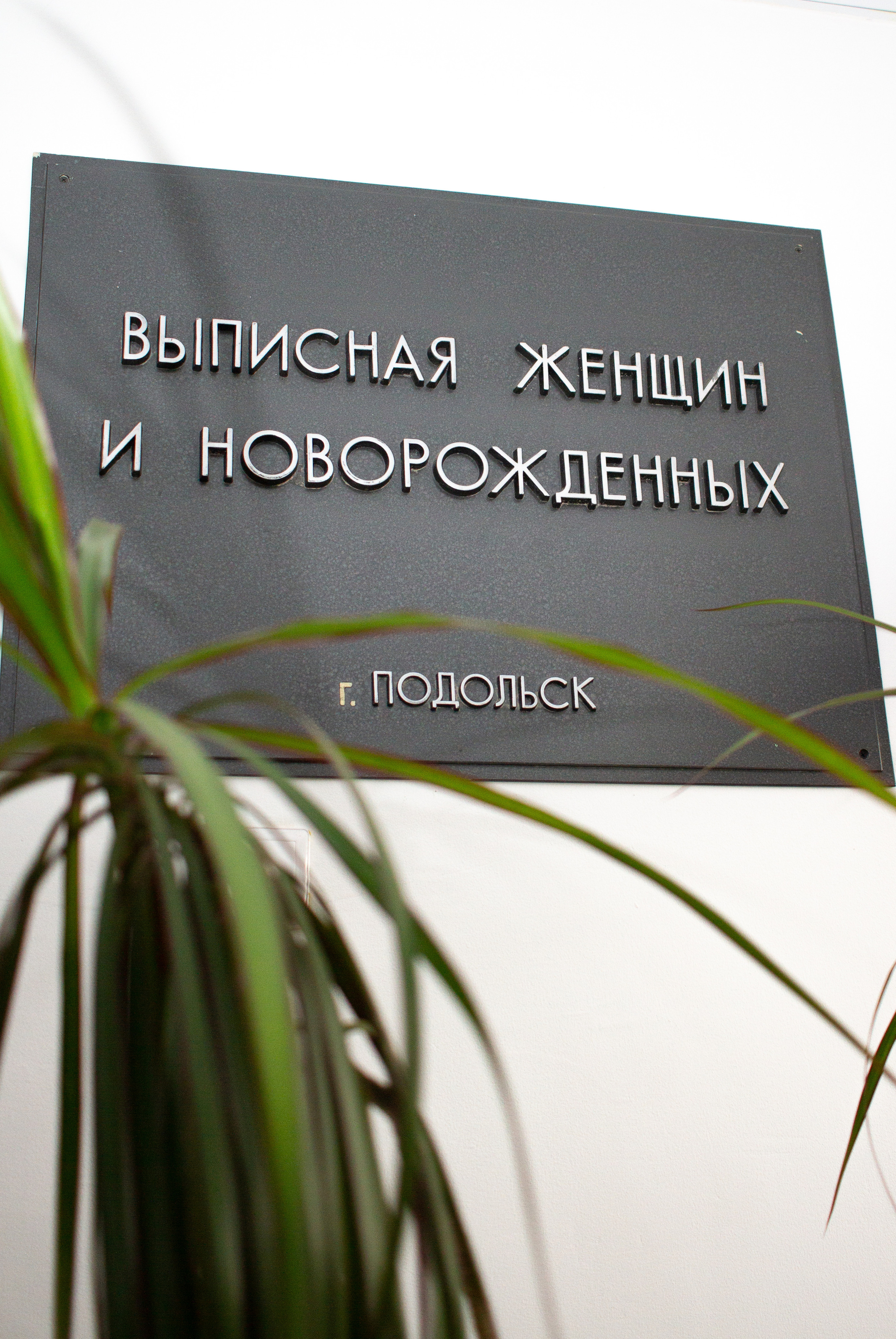 Осень 2022. Фотограф Светлана Бурова