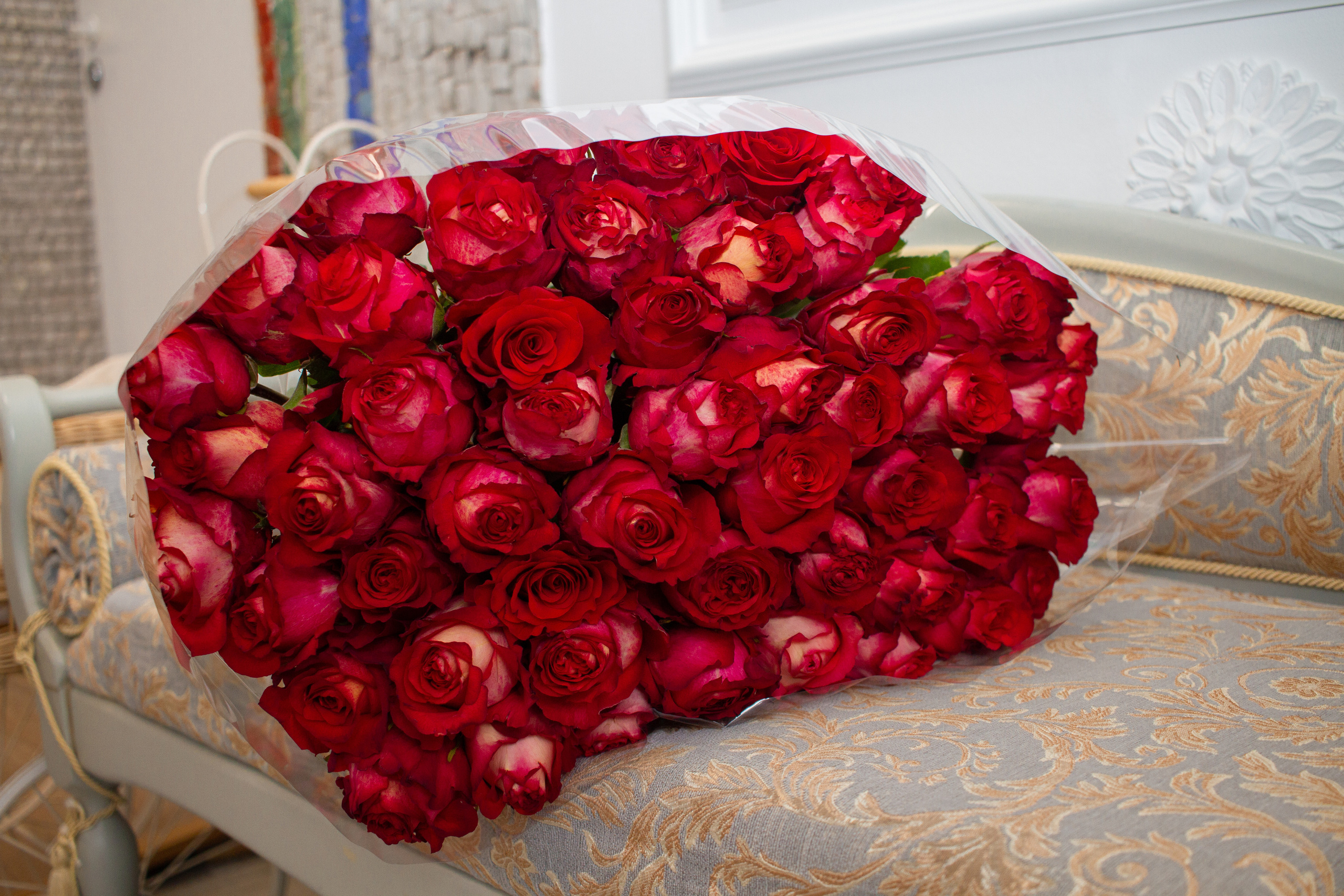 Осень 2022. Фотограф Светлана Бурова