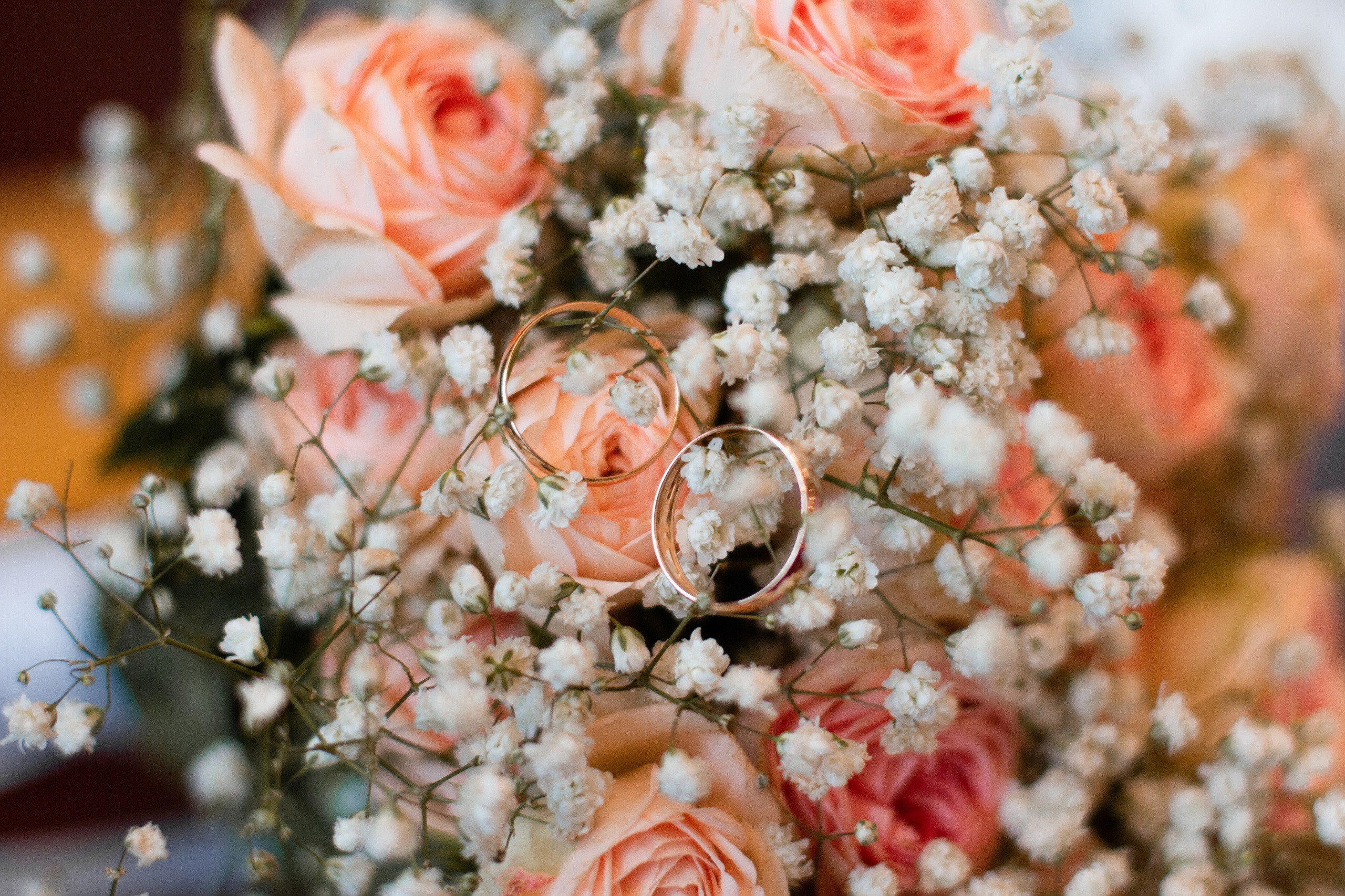 Валерий и Алла. Фотограф Светлана Бурова