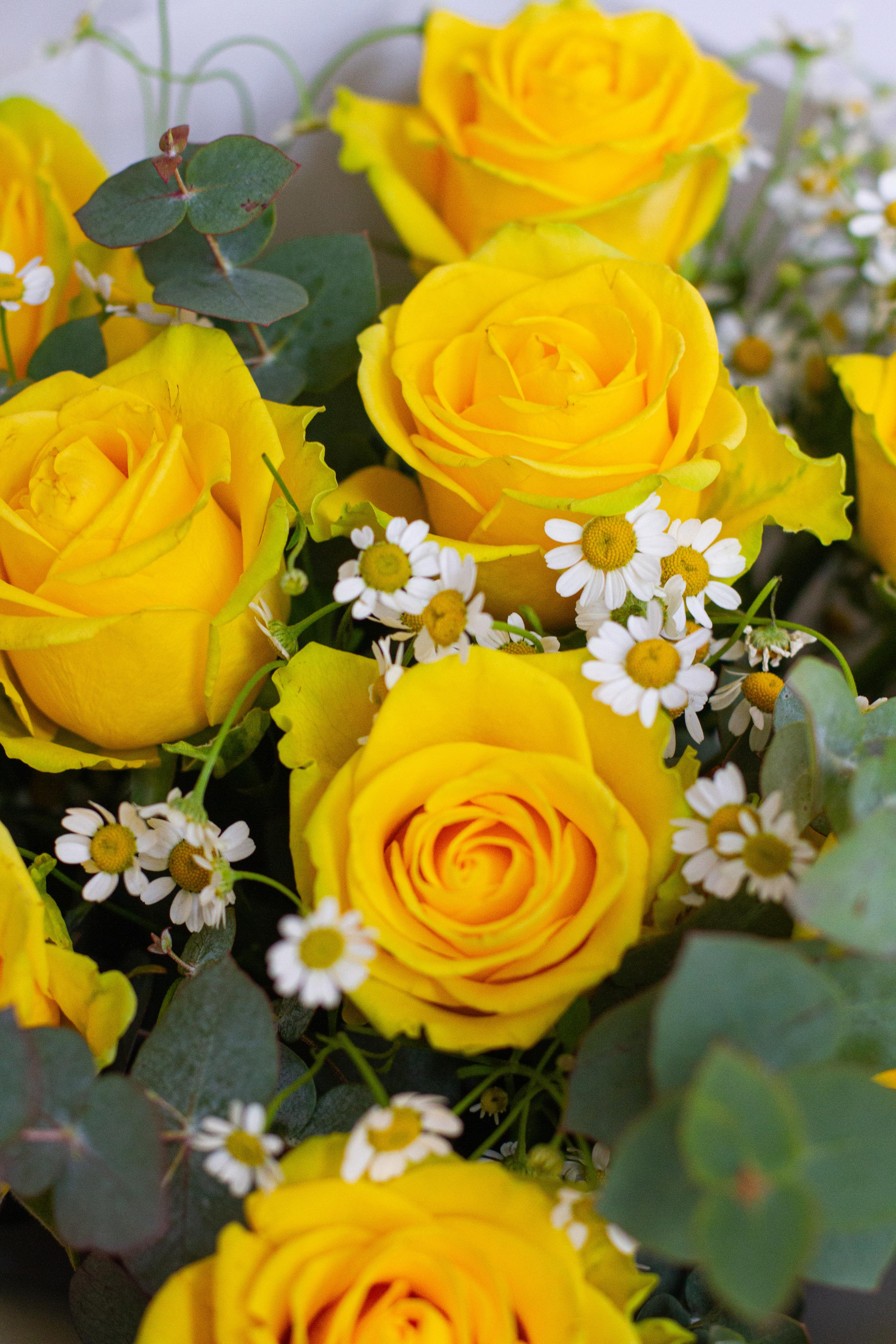 Для магазина цветов El.Flor. Фотограф Светлана Бурова