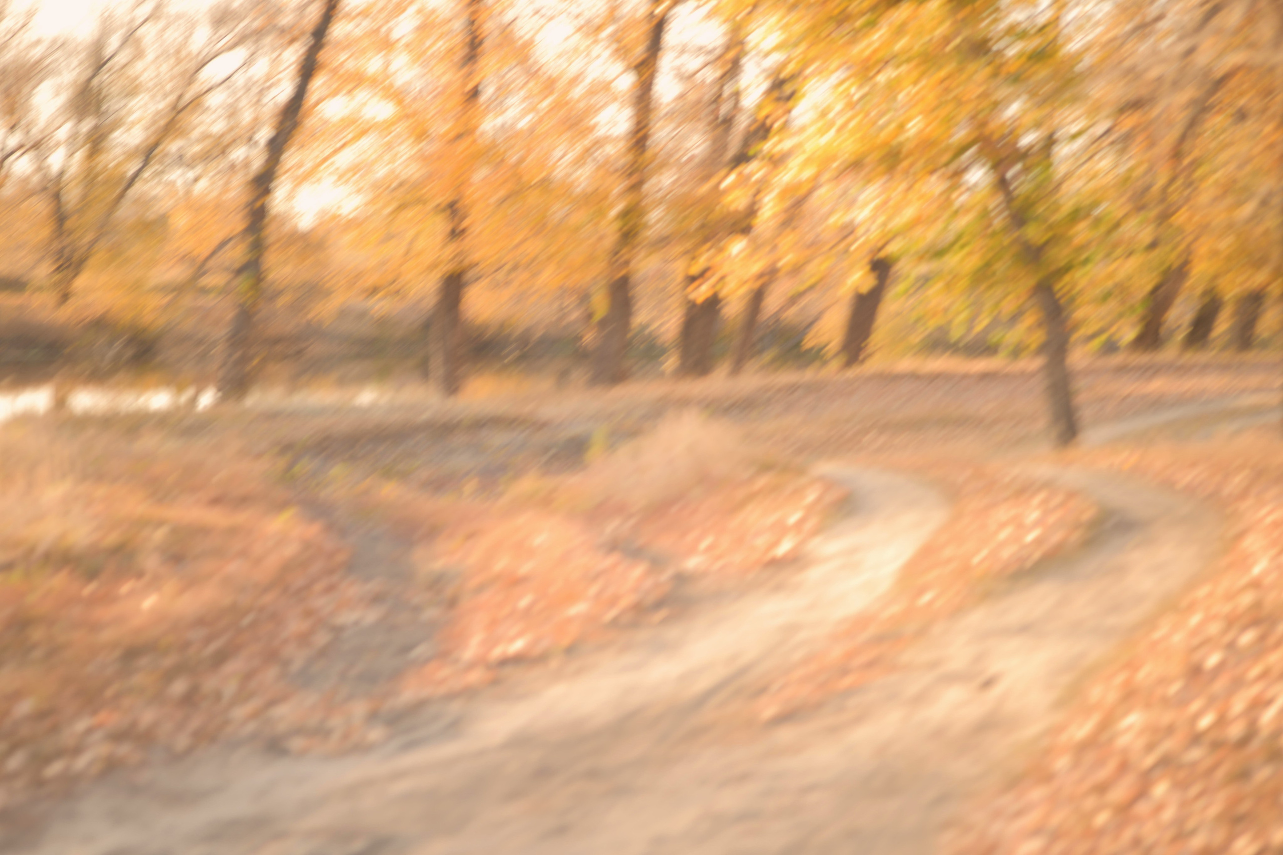 Курганская область. Портретный фотограф в Челябинске Катерина Руди