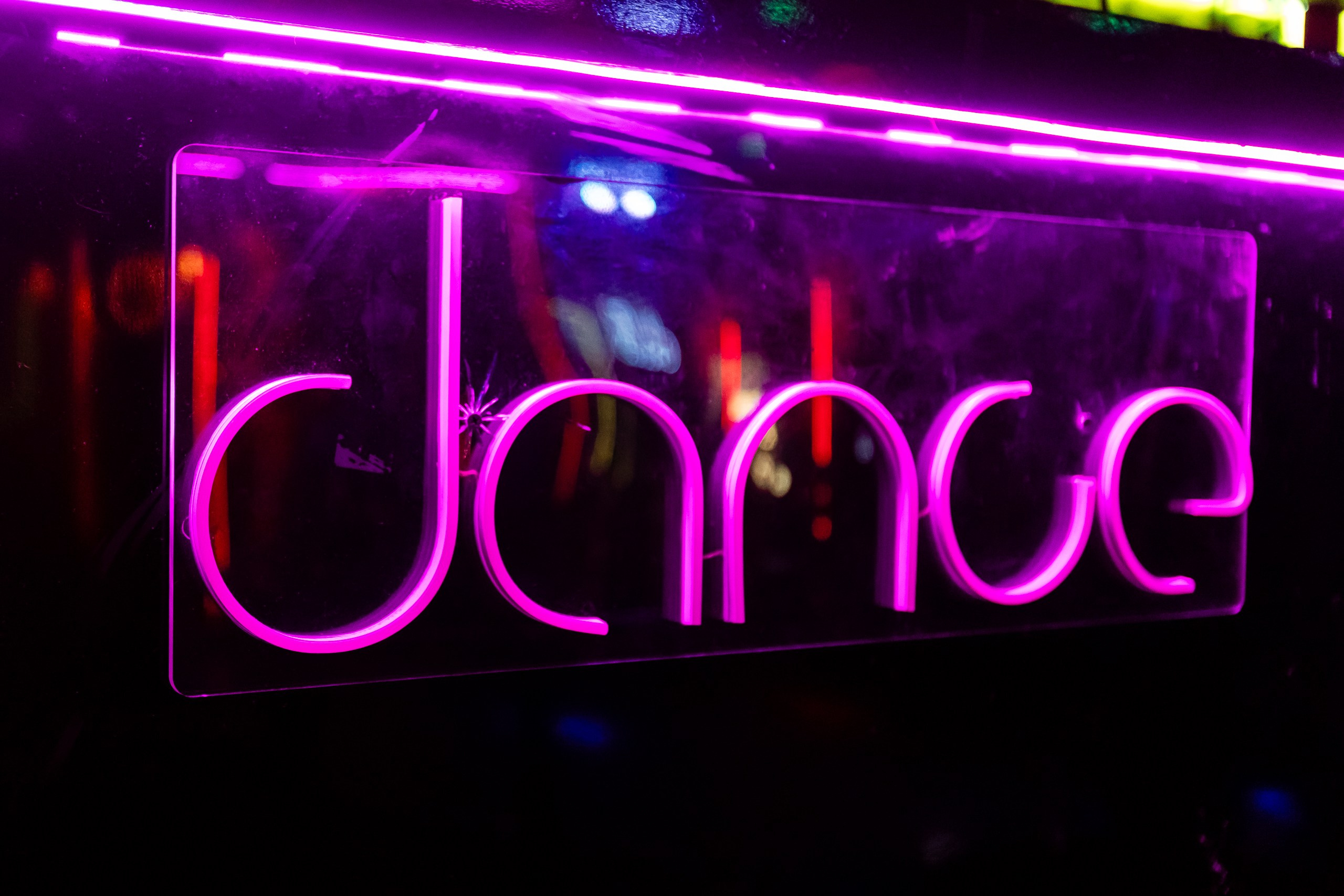 Леопардовый День рождения у Арины. Фотограф в Санкт-Петербурге — Сергей Петров