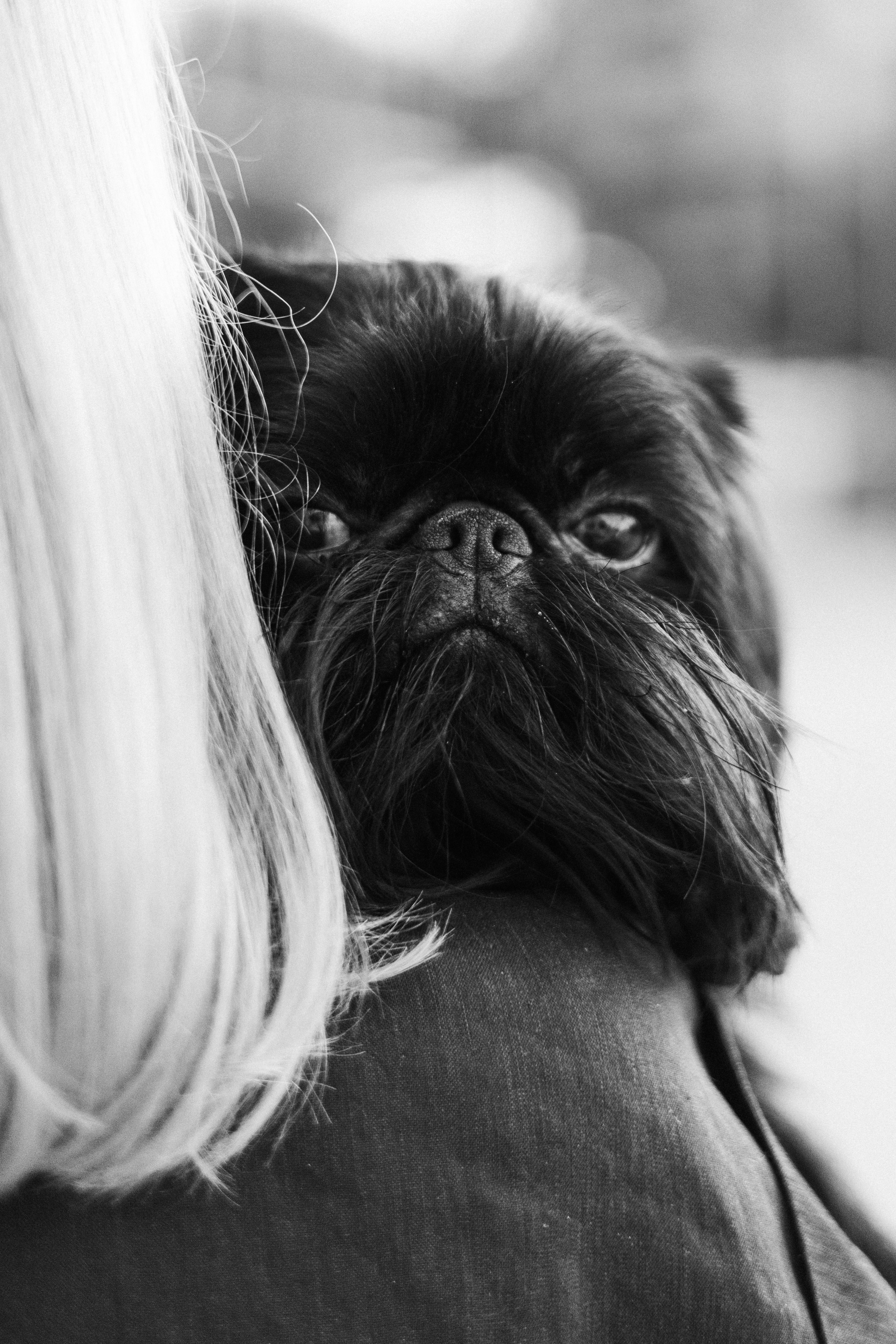 Ася и Кузя. Фотограф анималист Осипчикова Мария