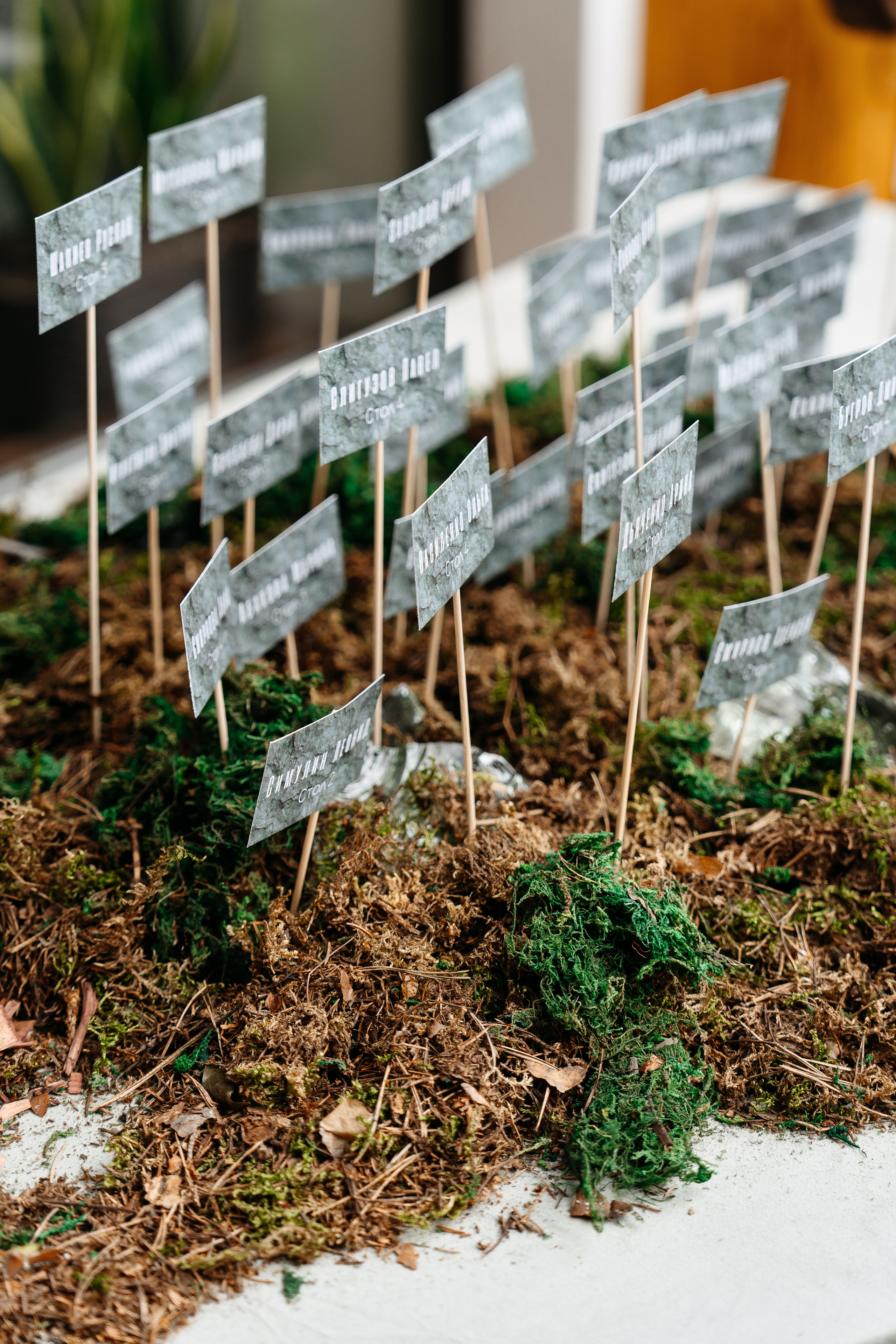Владимир и София. Свадебный и репортажный фотограф в Москве Андрей Вайман