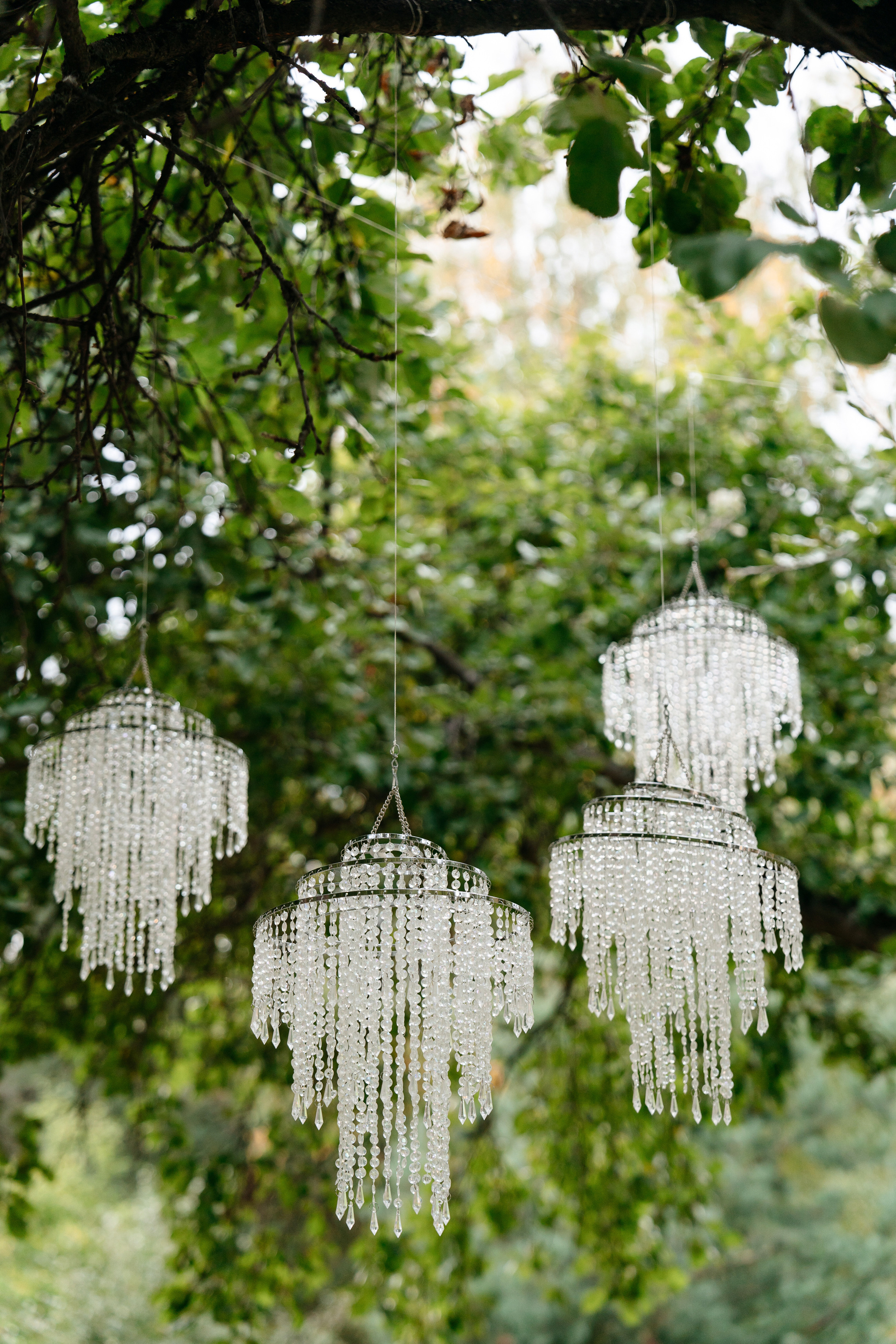 Владимир и София. Свадебный и репортажный фотограф в Москве Андрей Вайман