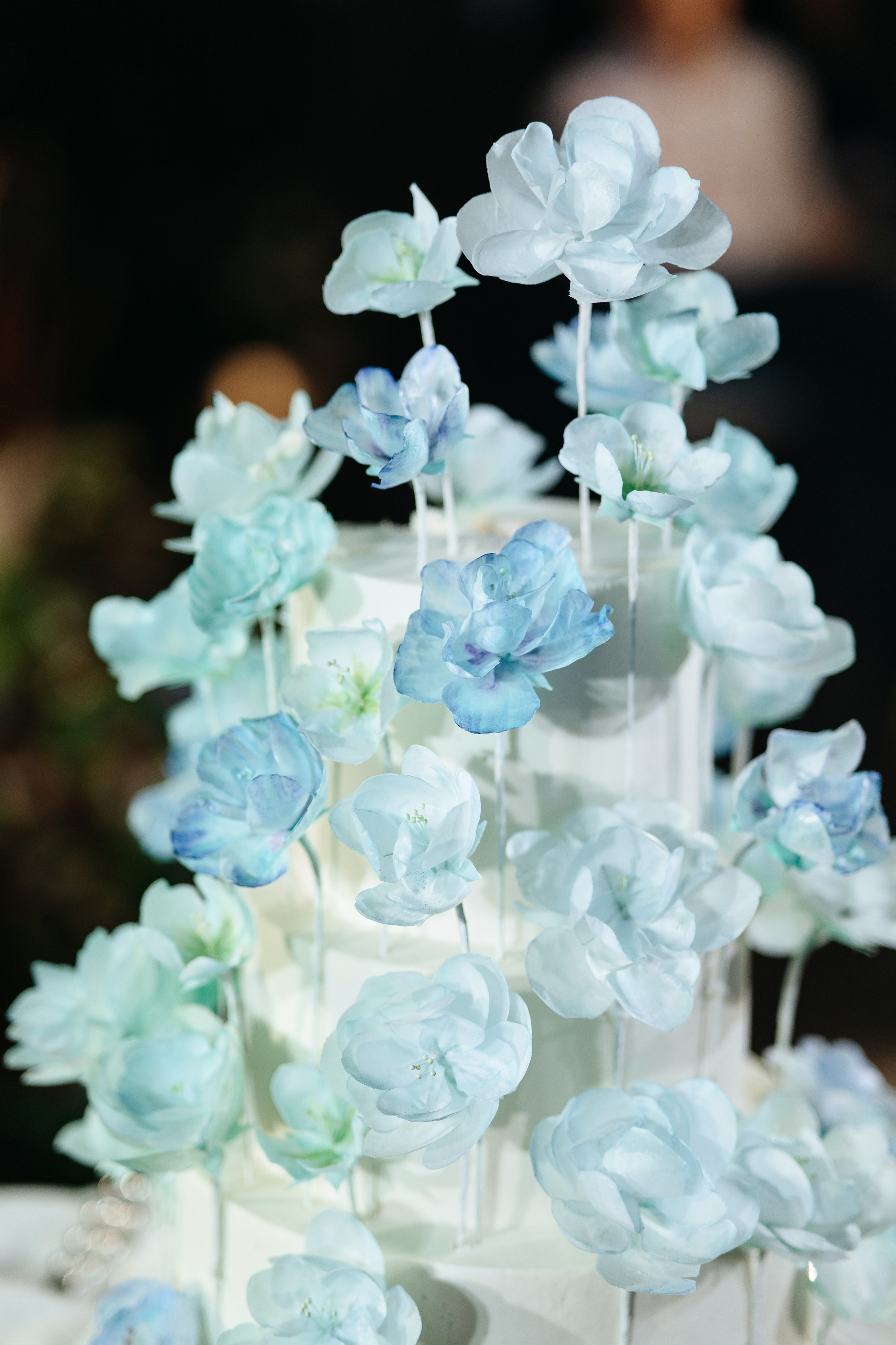 Владимир и София. Свадебный и репортажный фотограф в Москве Андрей Вайман