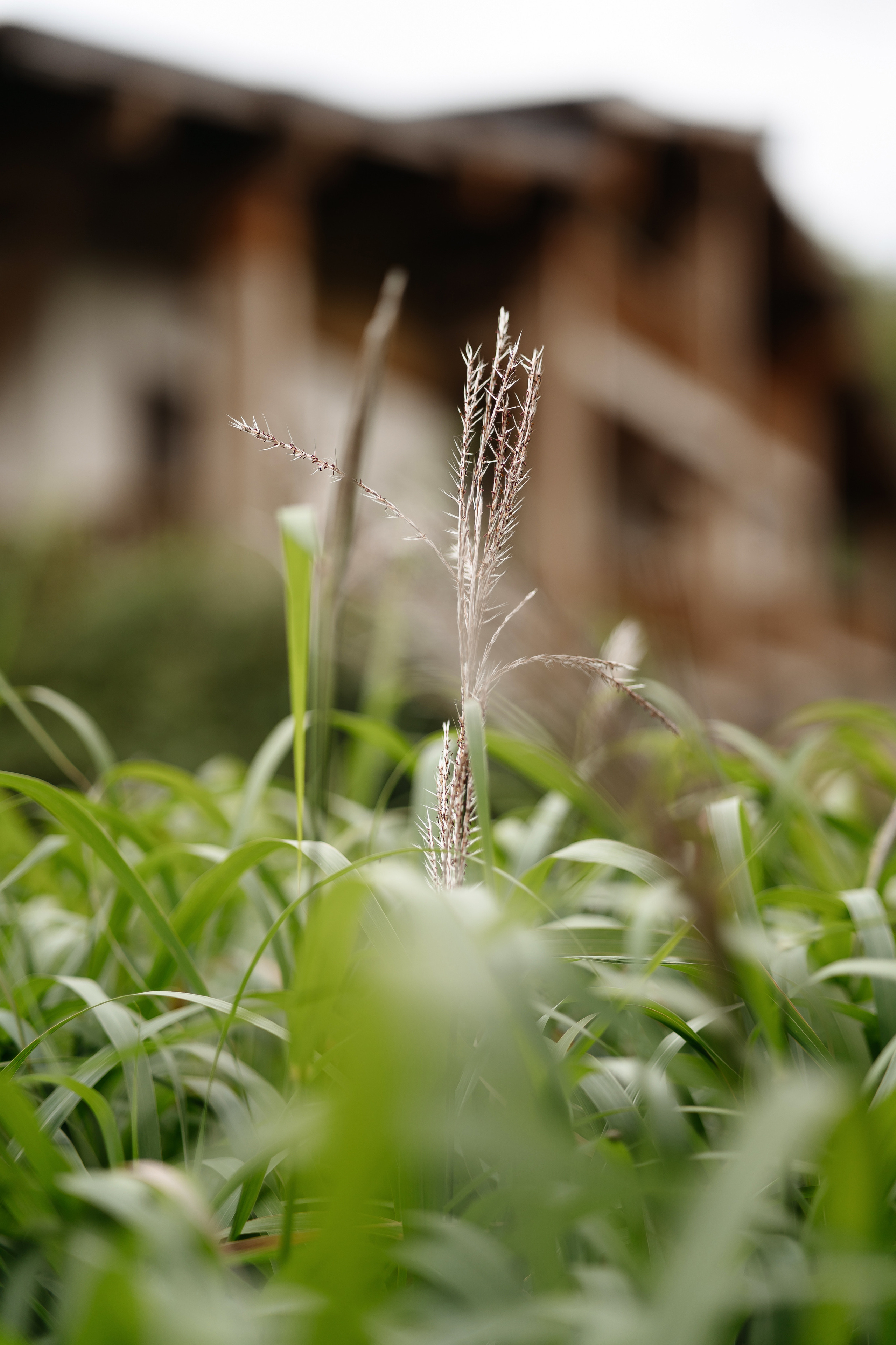 Артур и Ульяна. Свадебный и репортажный фотограф в Москве Андрей Вайман