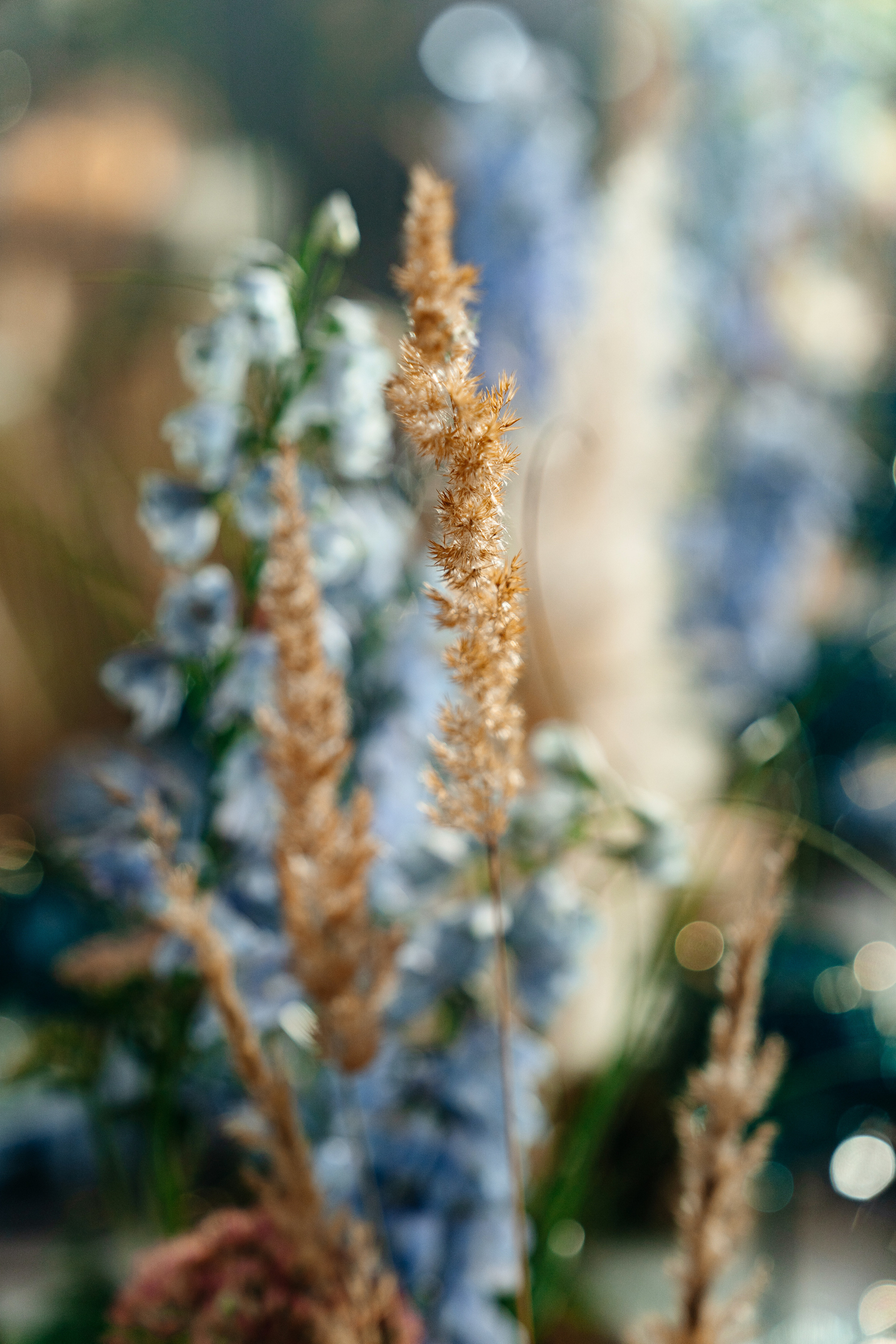 Владимир и София. Свадебный и репортажный фотограф в Москве Андрей Вайман