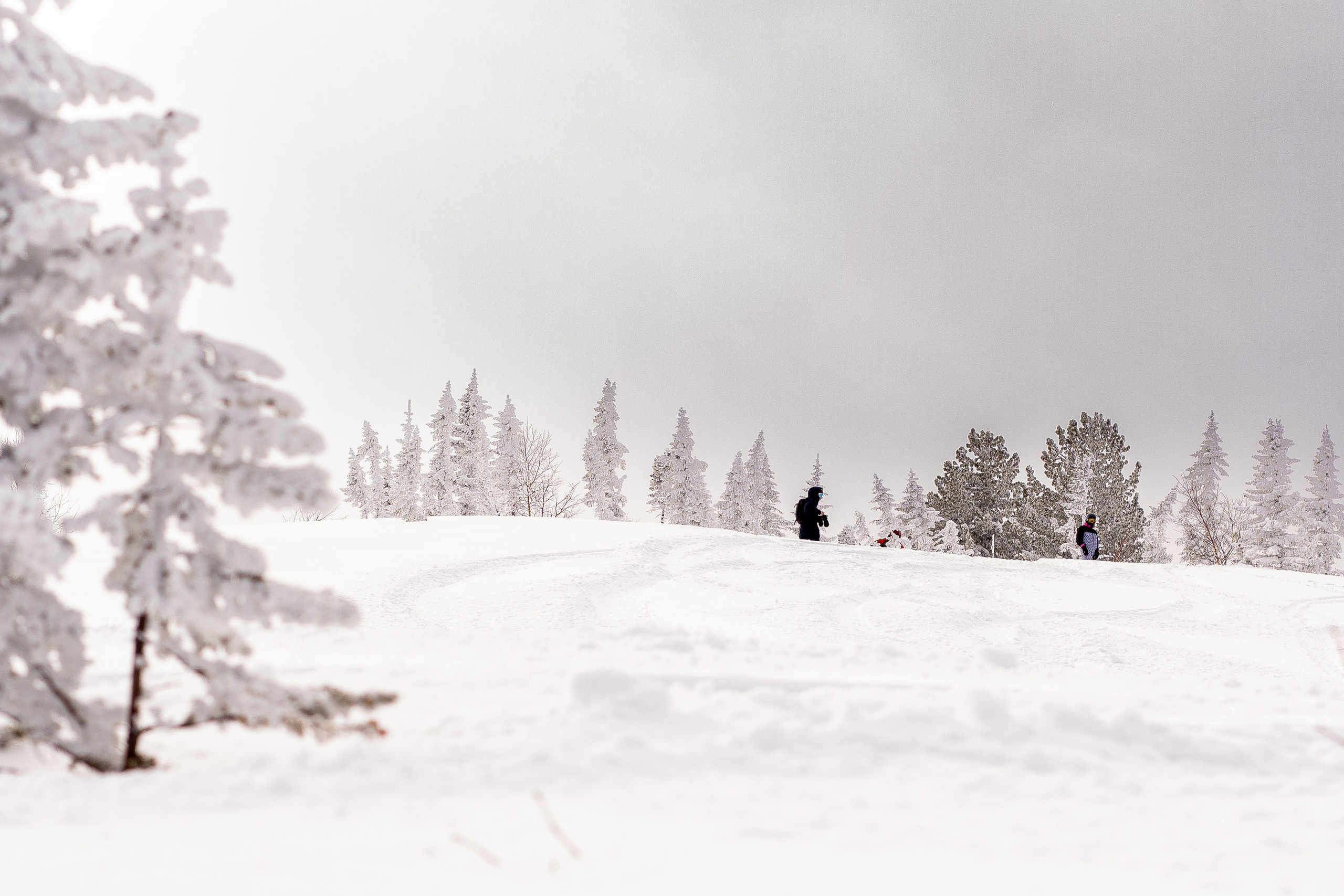 Фрирайд. Анастасия Паршукова — фотограф Шерегеш Новосибирск