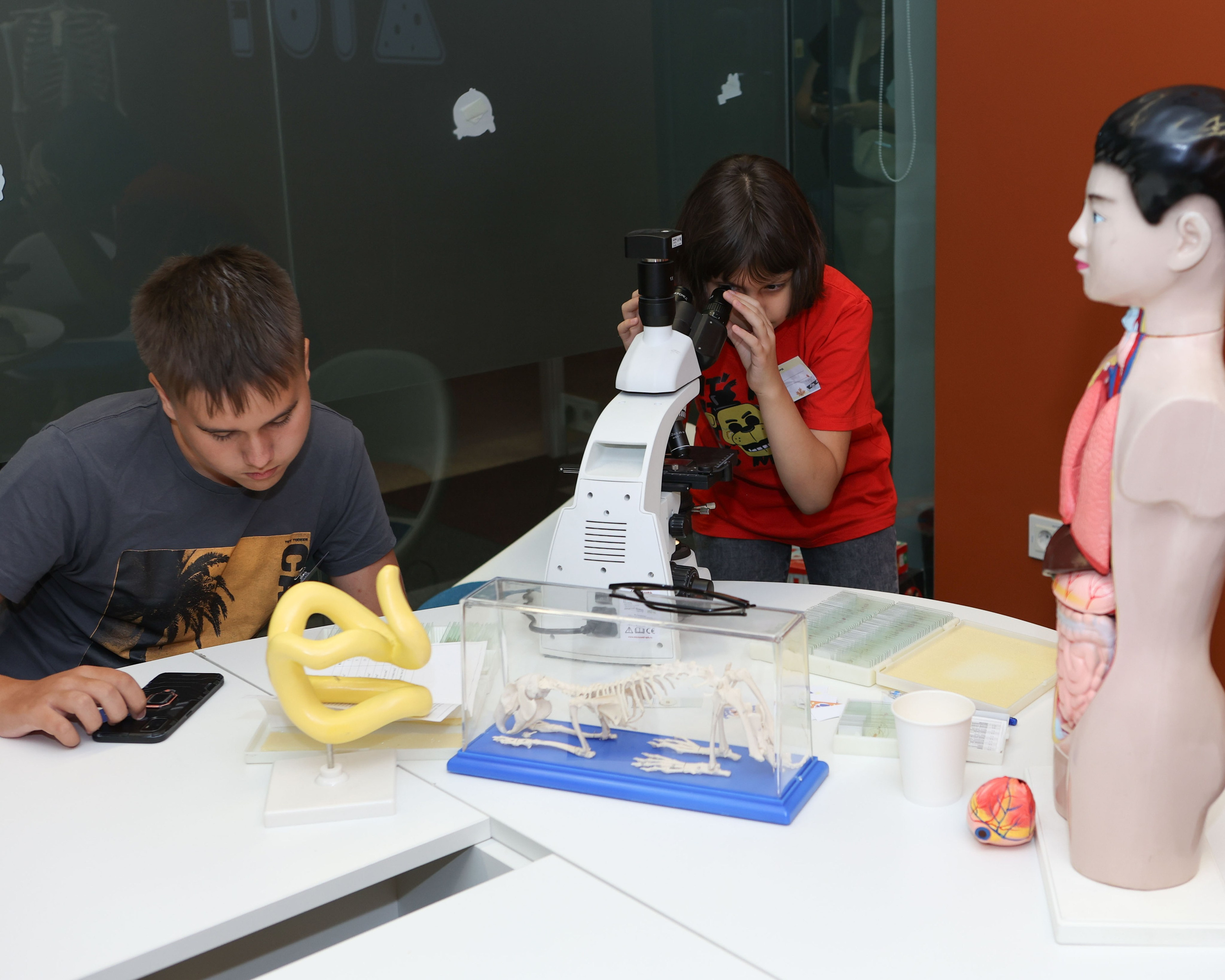 5-7 классы: Фоксфорд. Выпускные альбомы и школьный фотограф в Подольске, Троицке, Щербинке, Москве и Московской области