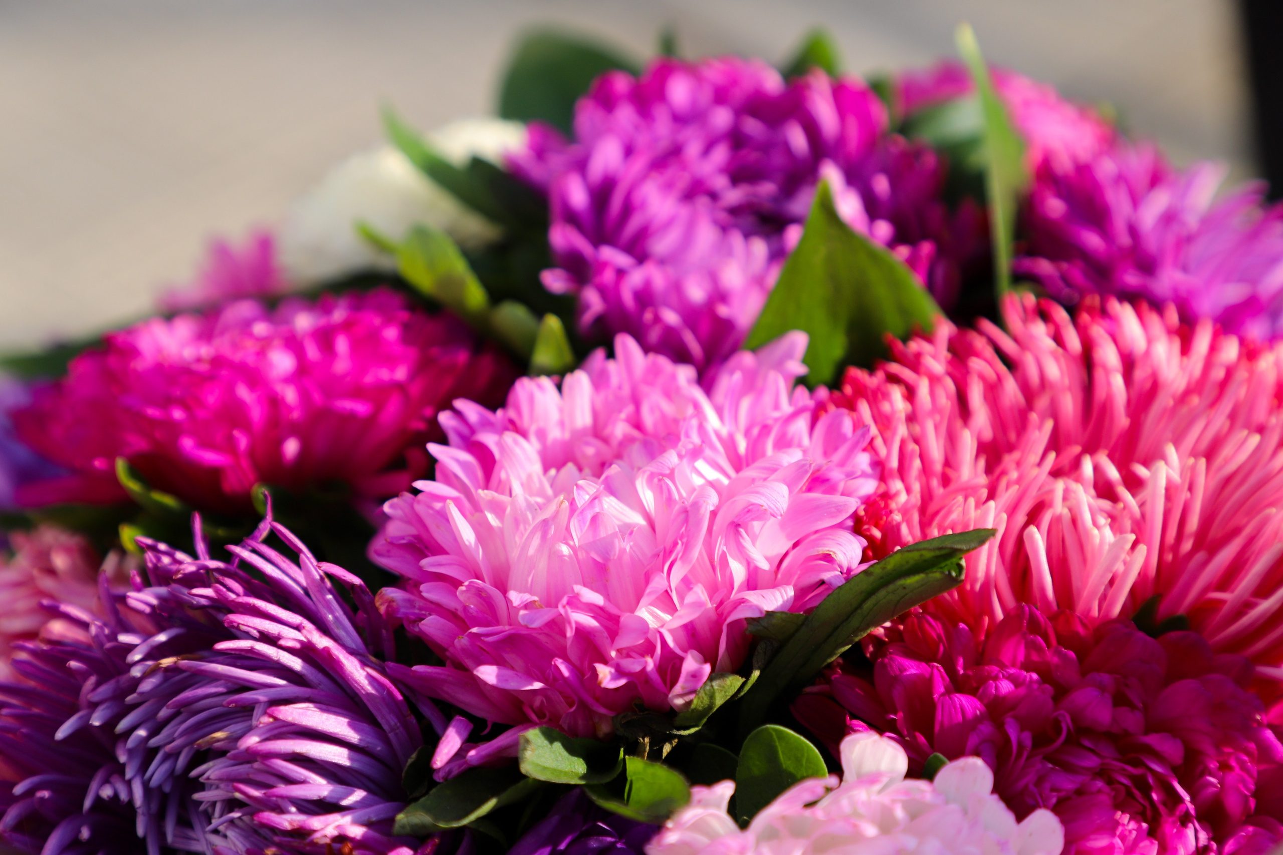 1 сентября День знаний. K-pop (и не только) фотограф в Москве Светлана Полякова