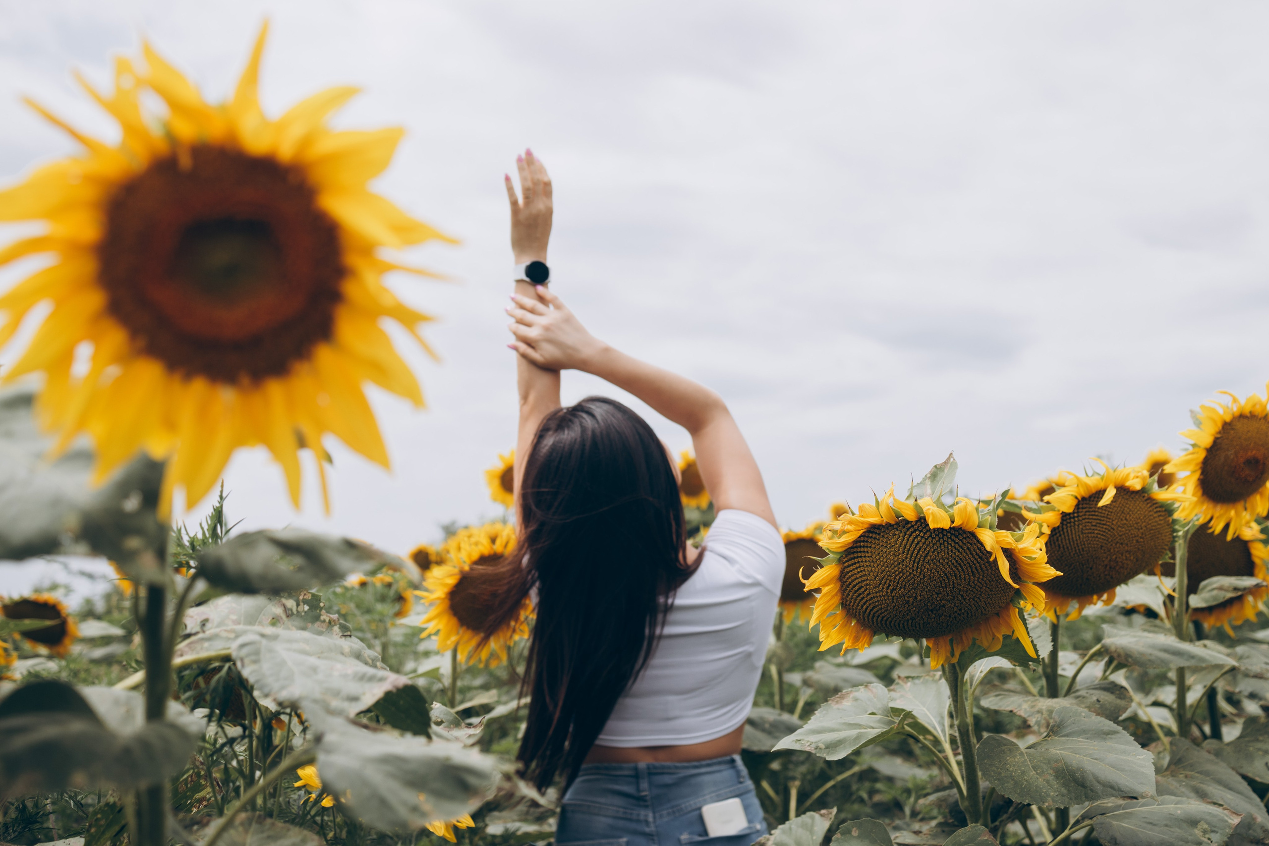 Лето. Профессиональный фотограф и видеооператор