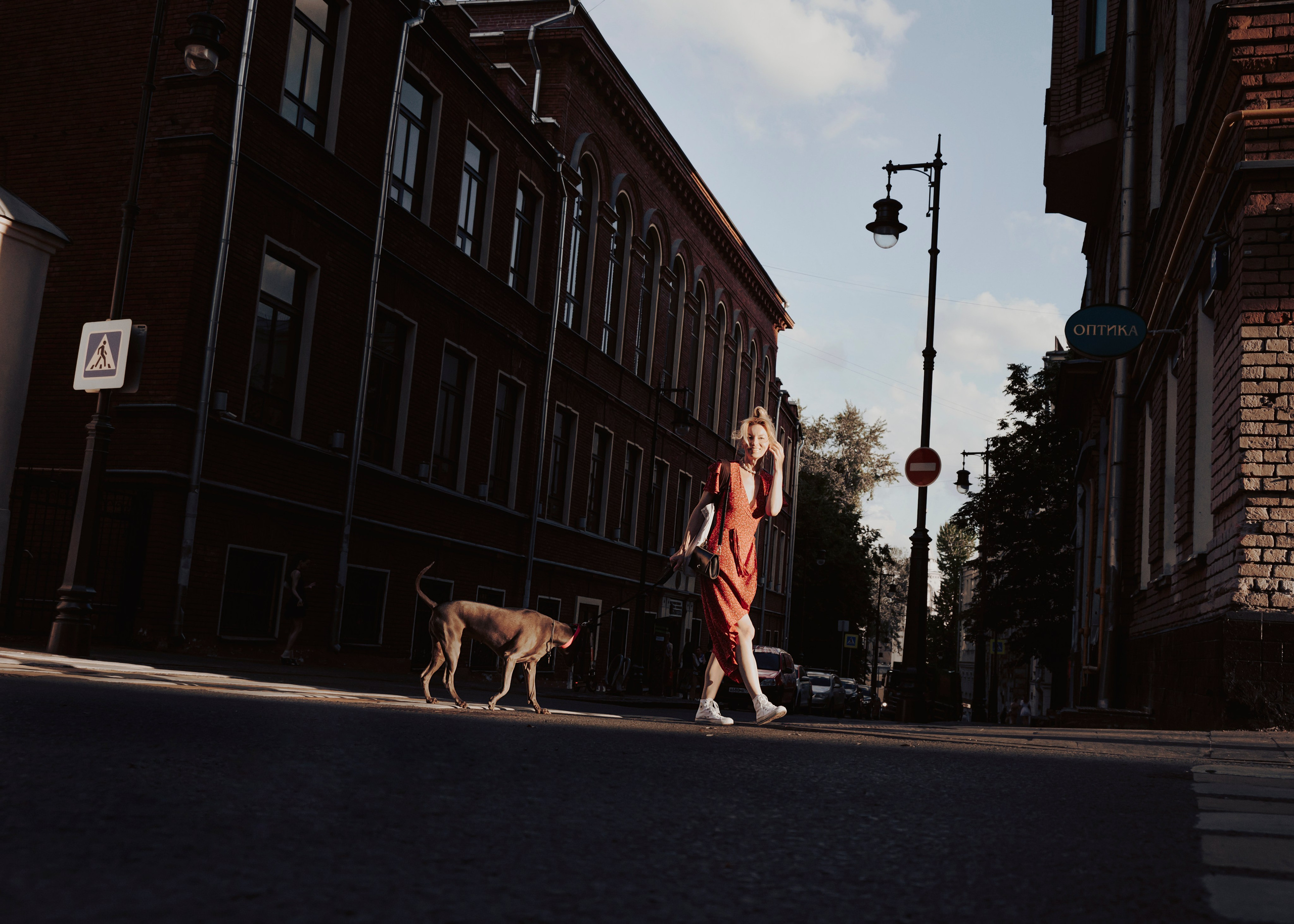 Шарма. Фотограф- анималист Александра Матвеева