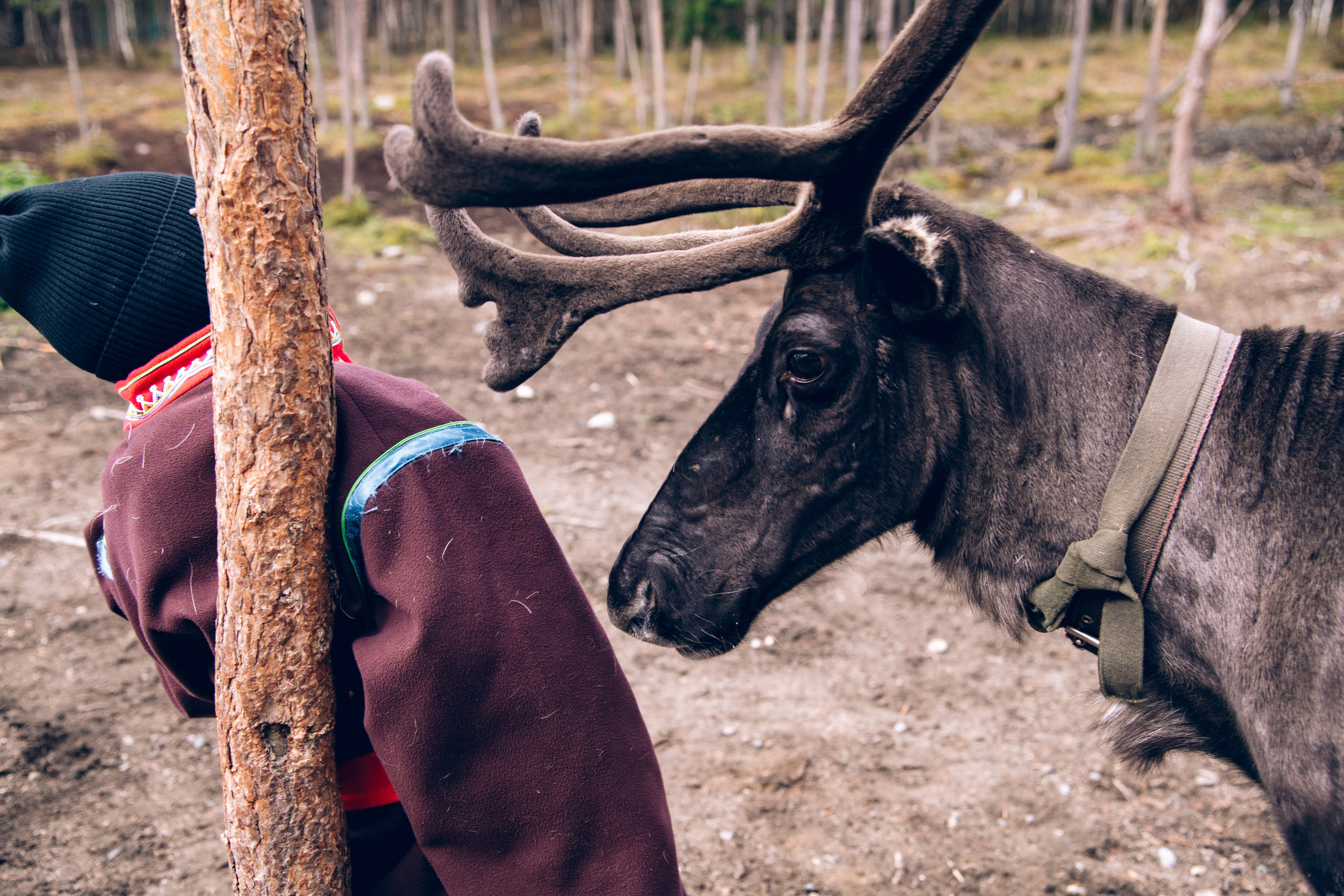 Кольский полуостров. Фотографирую для себя, своей семьи и друзей!
