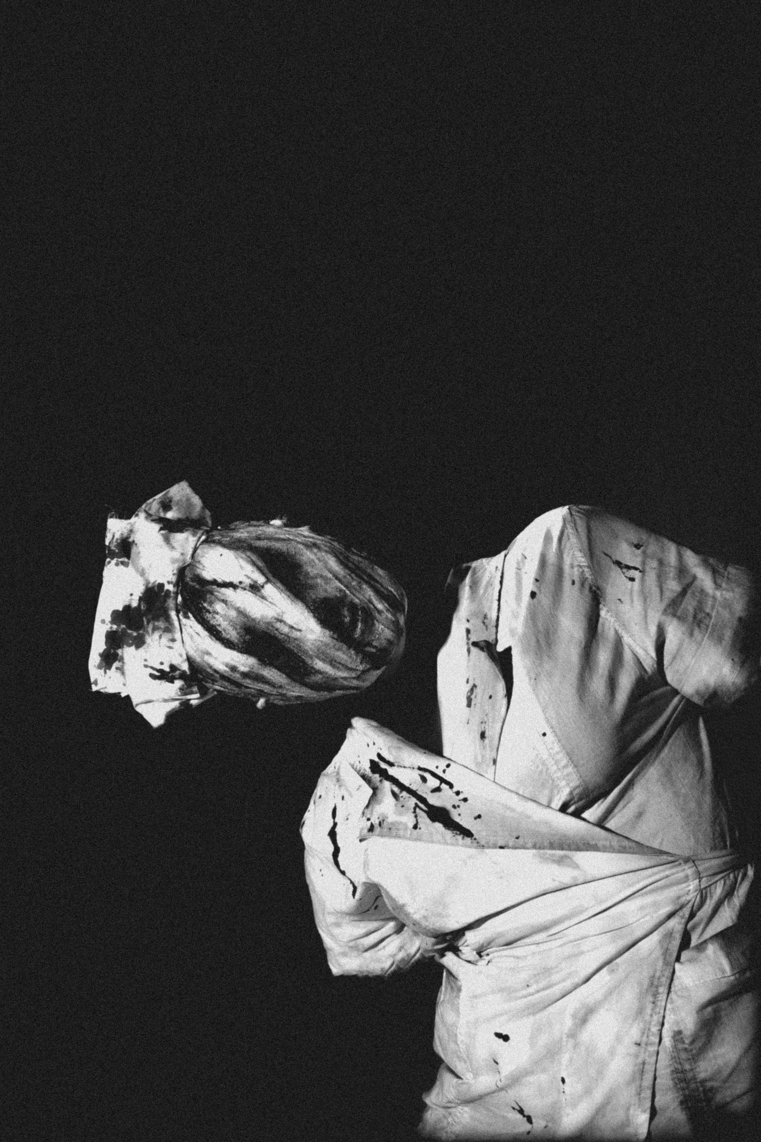 Портфолио. Хвоя и спирт