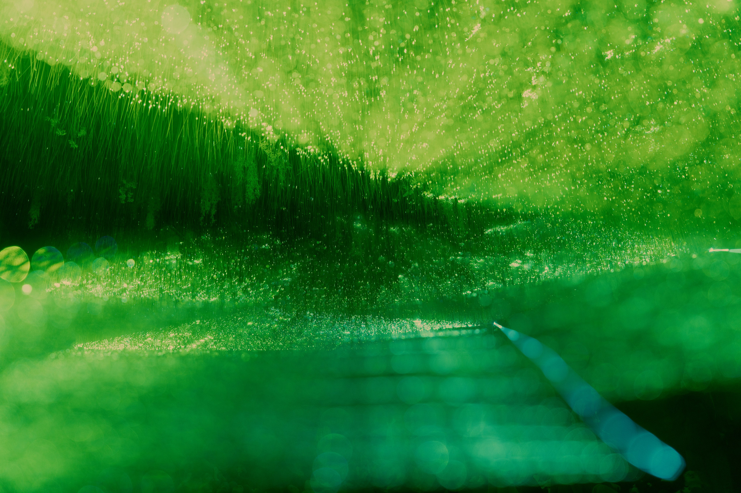 NUR 2024. @tomrus: Рустам Шагиморданов — фотограф