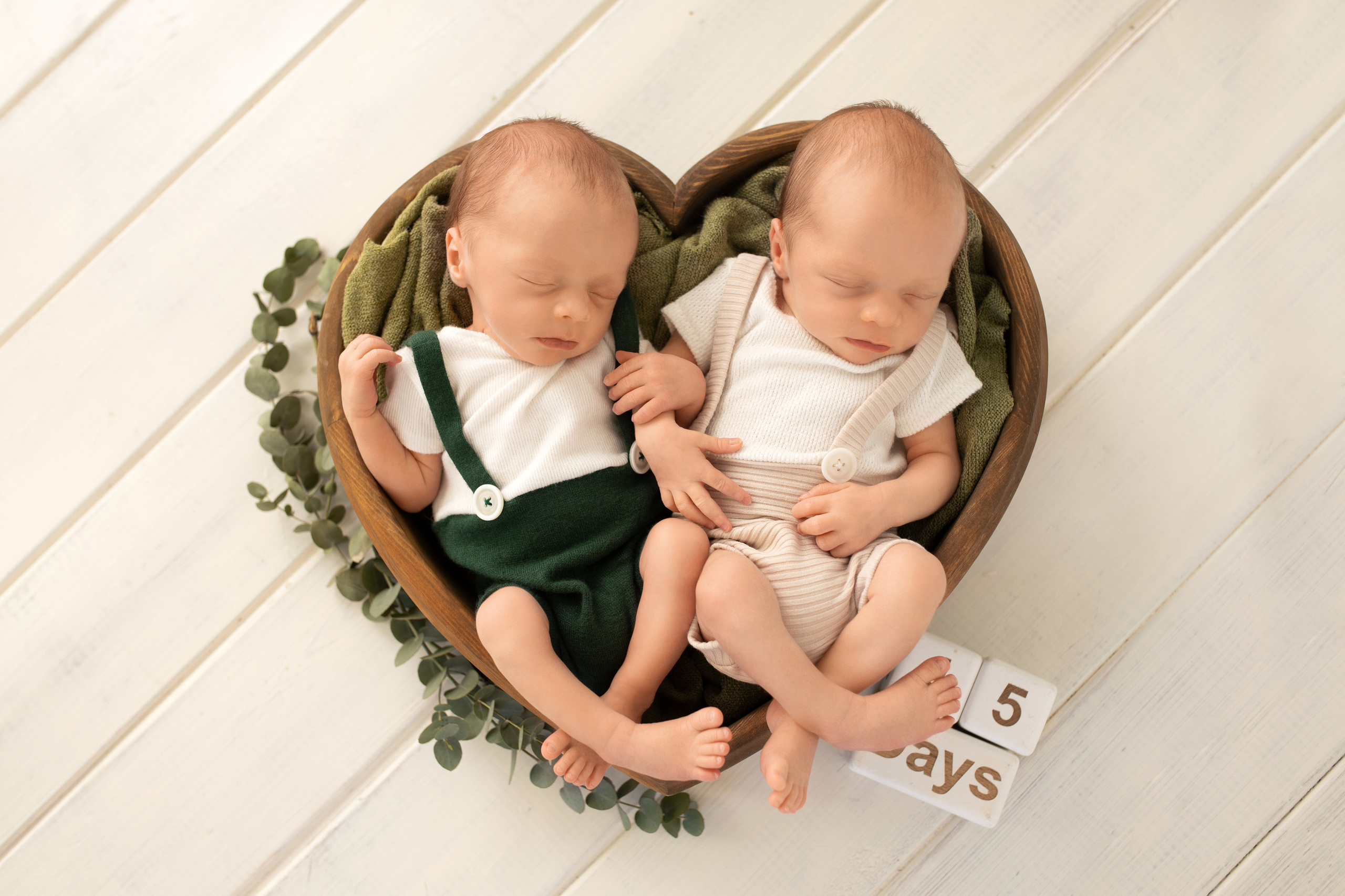 Захар и Ярослав (пакет стандарт). Фотограф новорожденных в Барнауле Русакова Анастасия