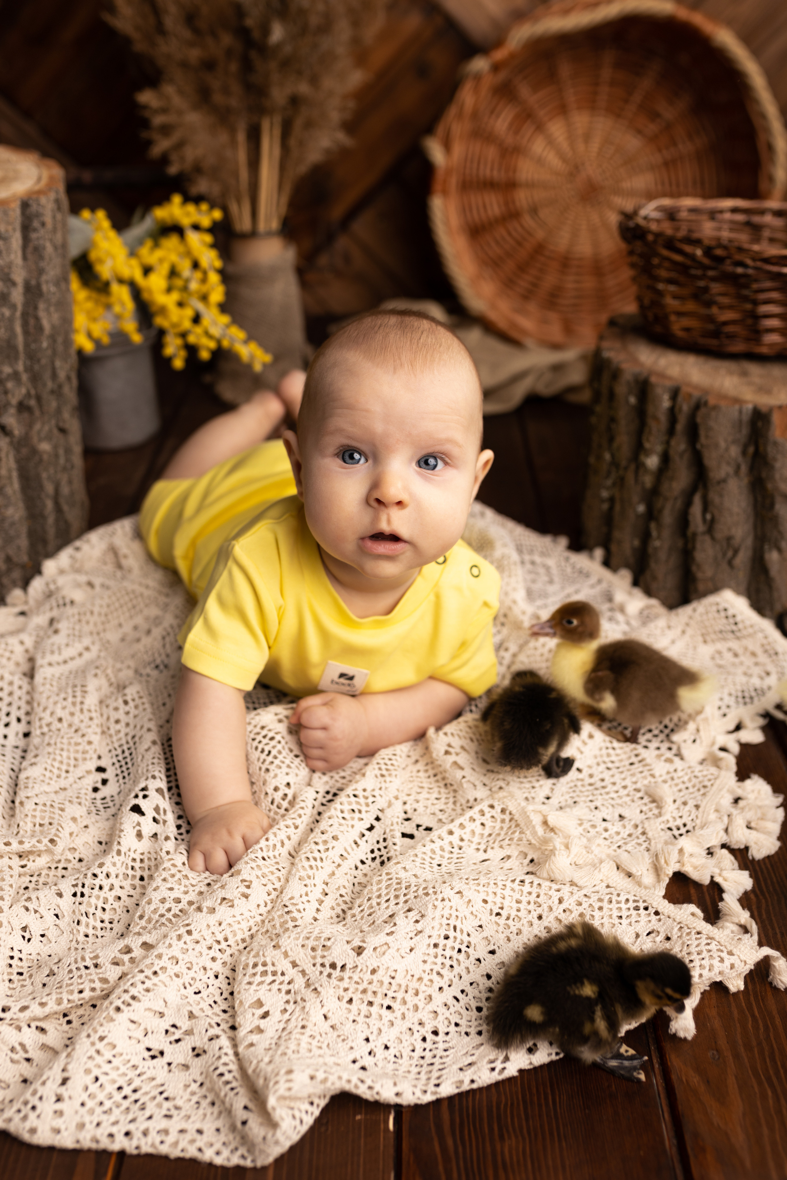 Макару 6 месяцев. Фотограф новорожденных в Барнауле Русакова Анастасия