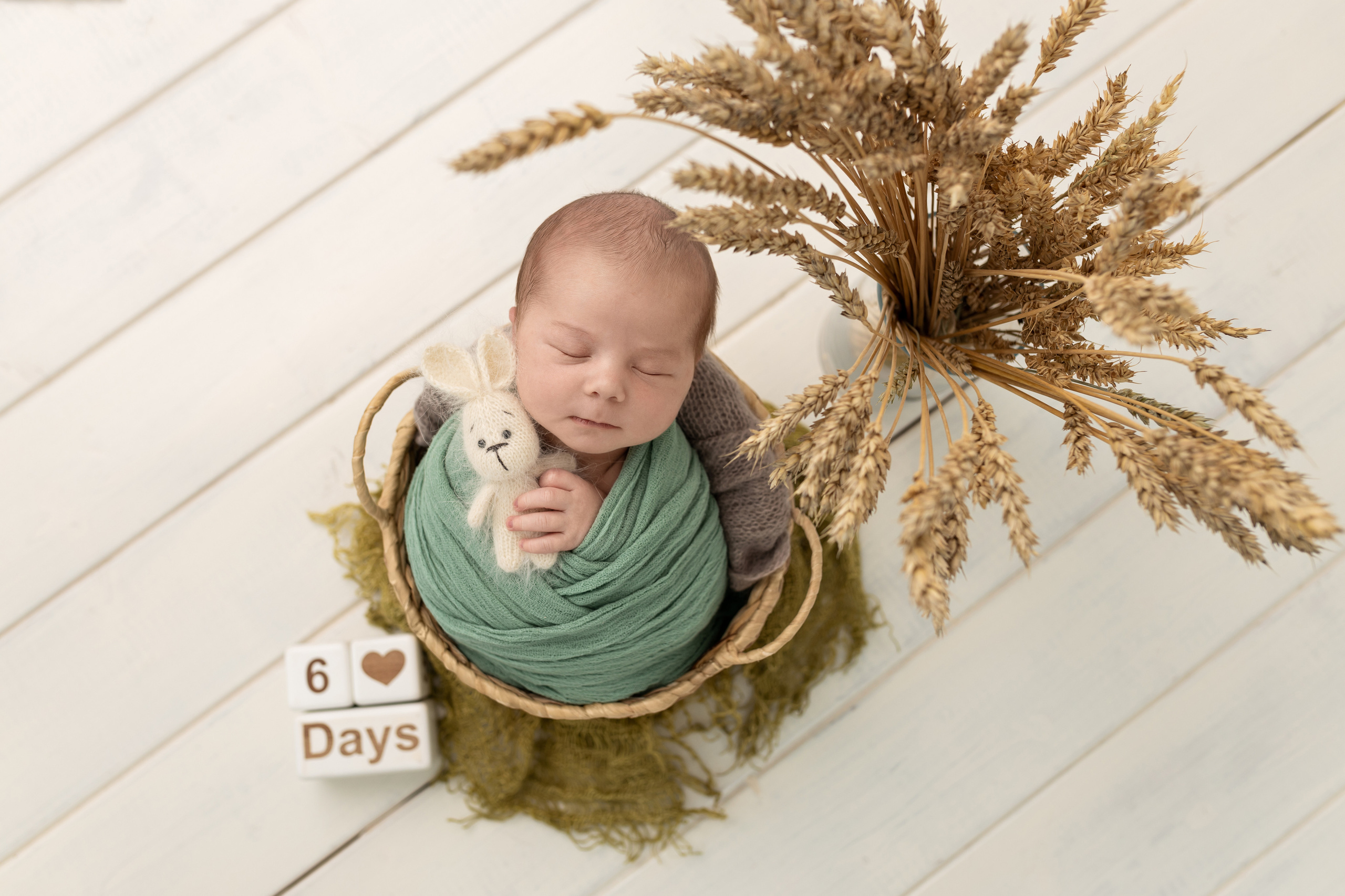 Денис (пакет максимальный). Фотограф новорожденных в Барнауле Русакова Анастасия