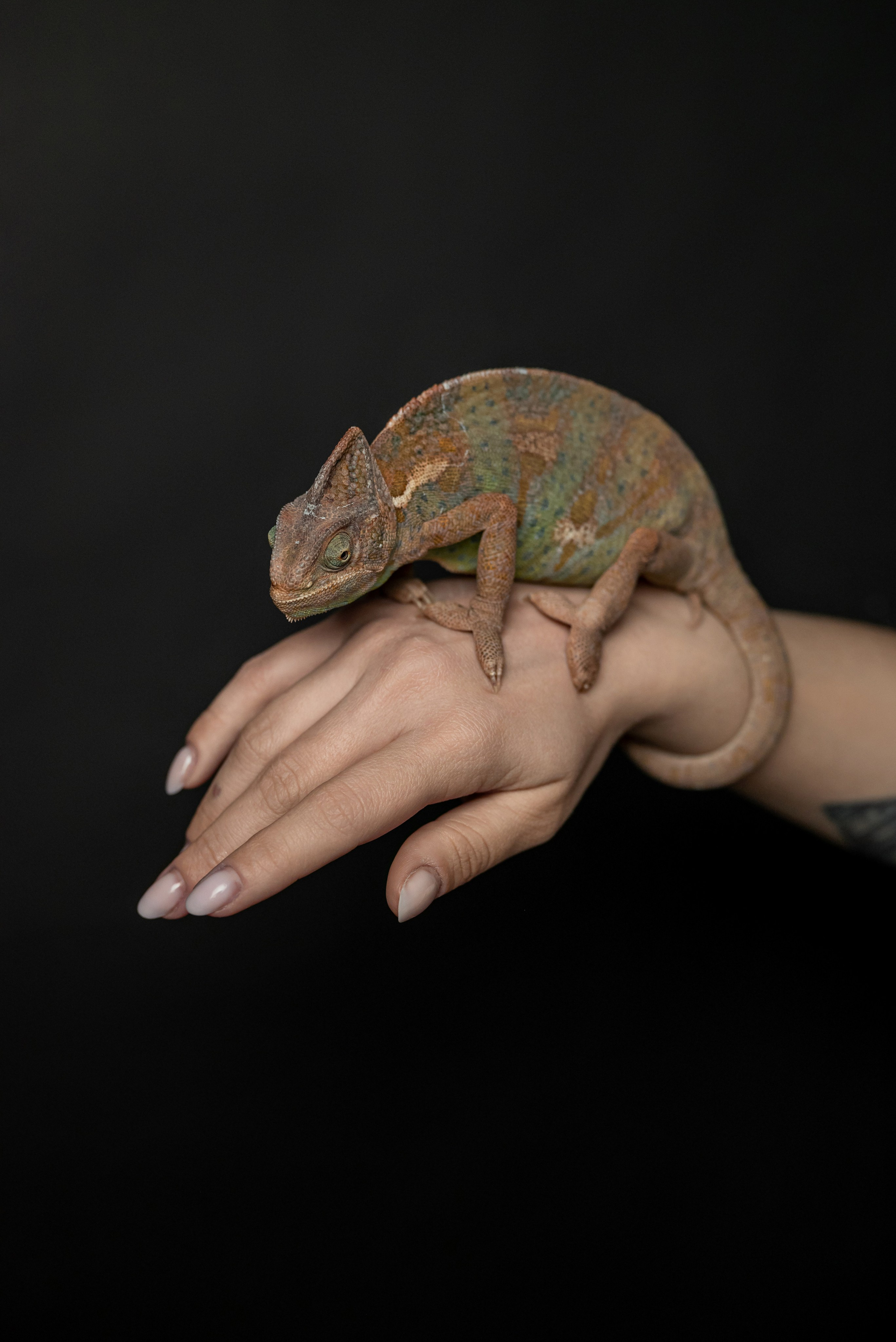 Кристина. Фотограф в городе Салават