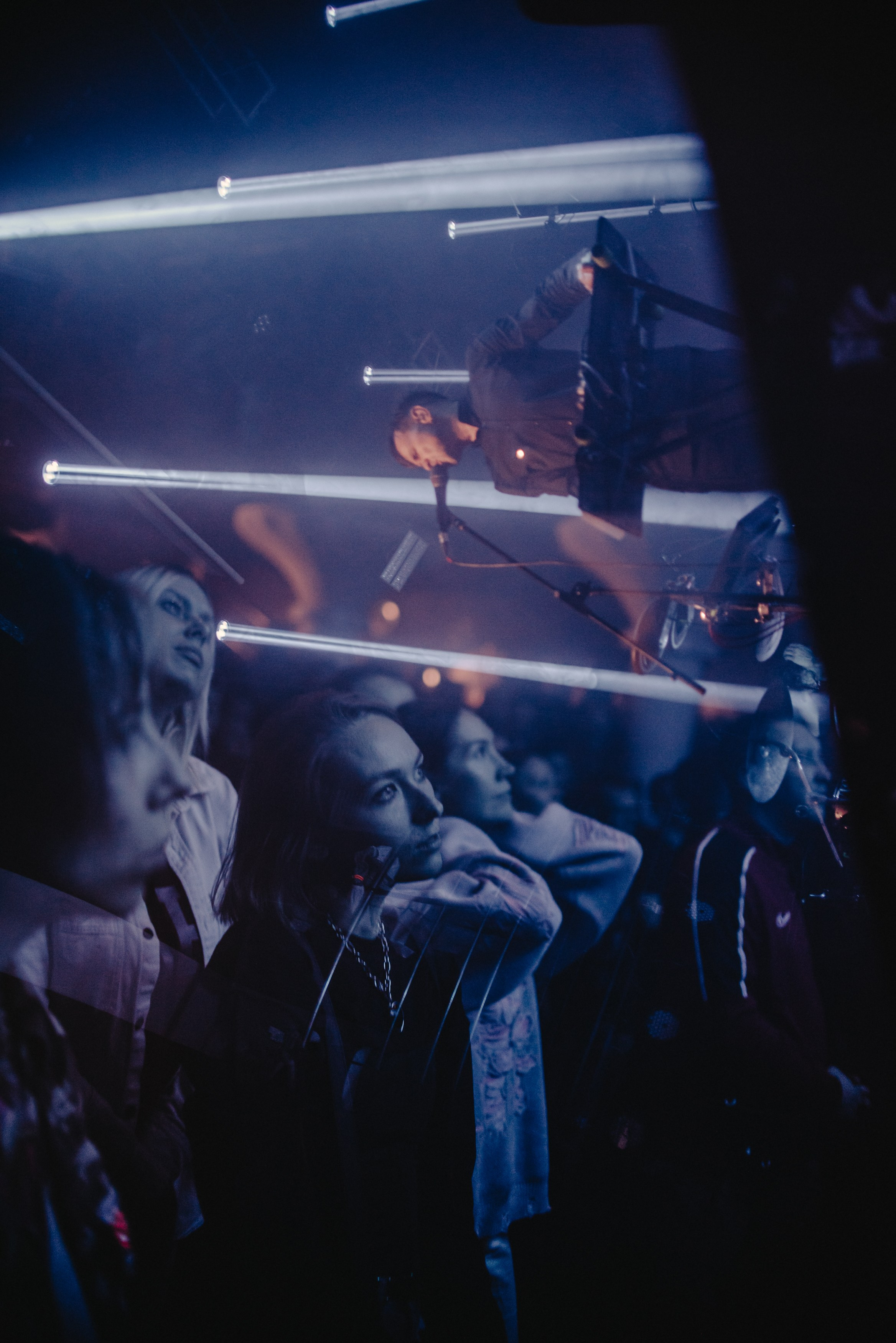 Дельфин | Gaudi. Контент фотограф Илья Урс