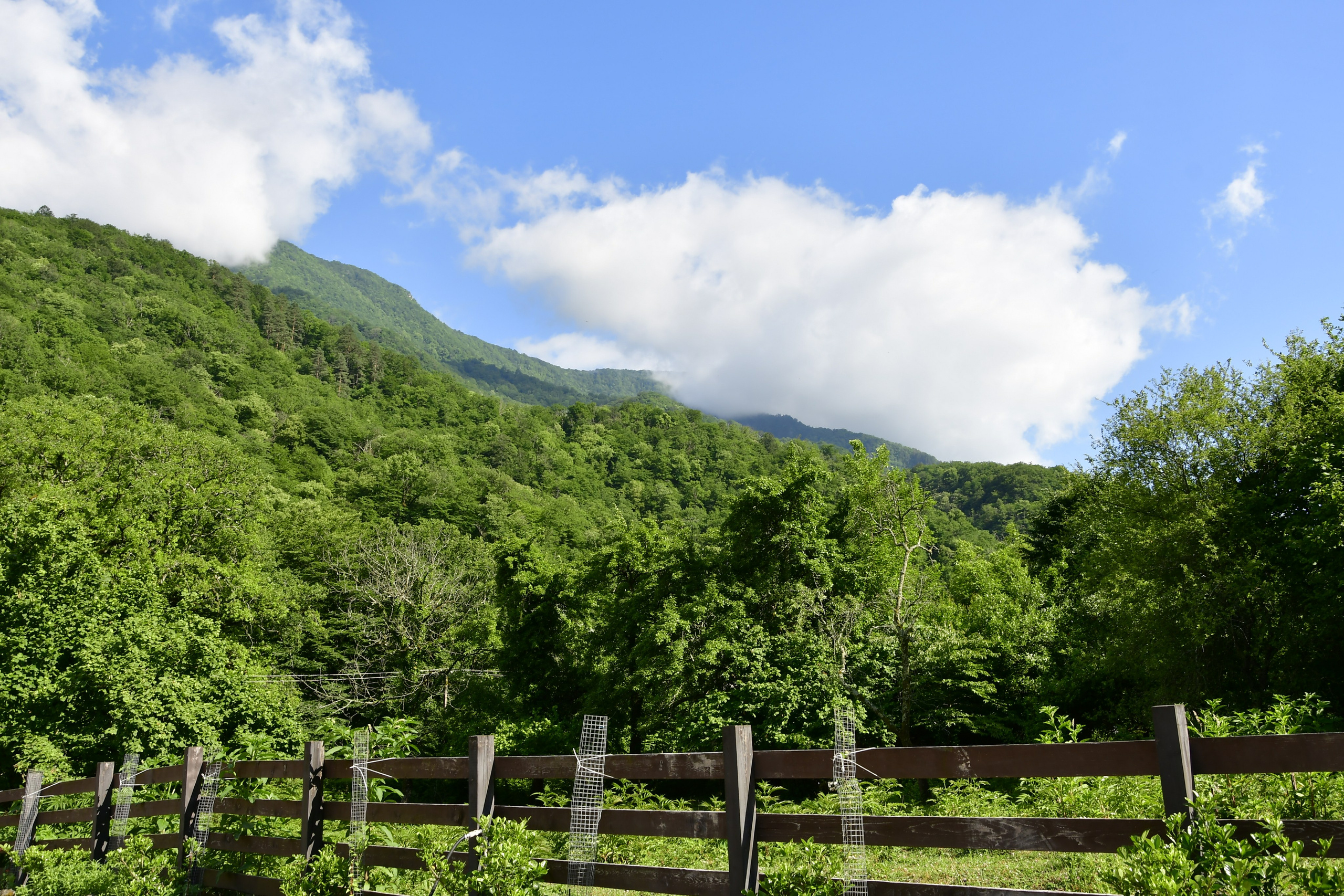 Фотосъемка мероприятий в Москве. Продакшн фото. Видео продакшн. Предметная съемка. Предметный фотограф в Москве — Вячеслав Иванов