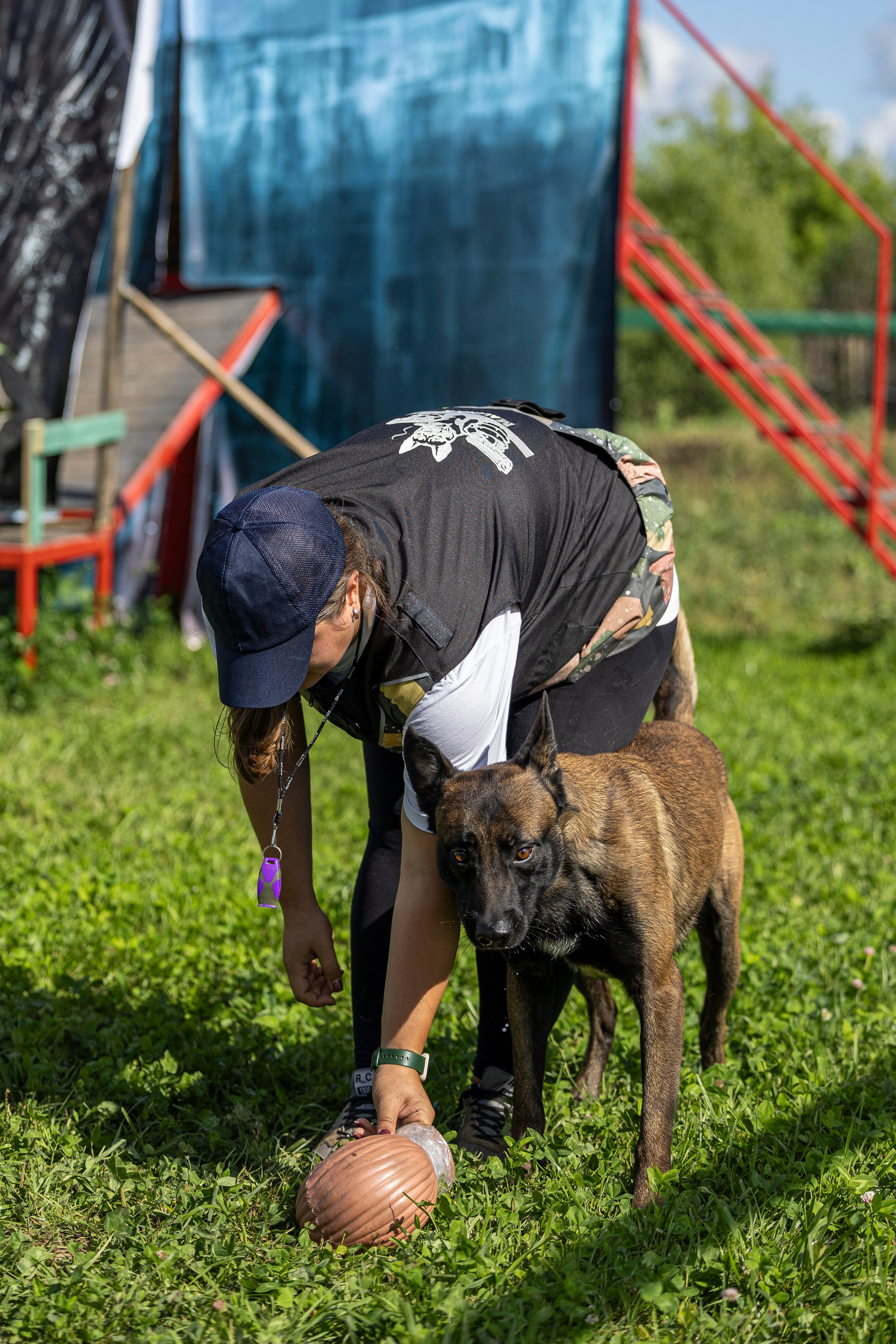 Соревнования по Мондьорингу г. Вологда 10-11.08.2024. Фотограф-анималист Анна Маринич