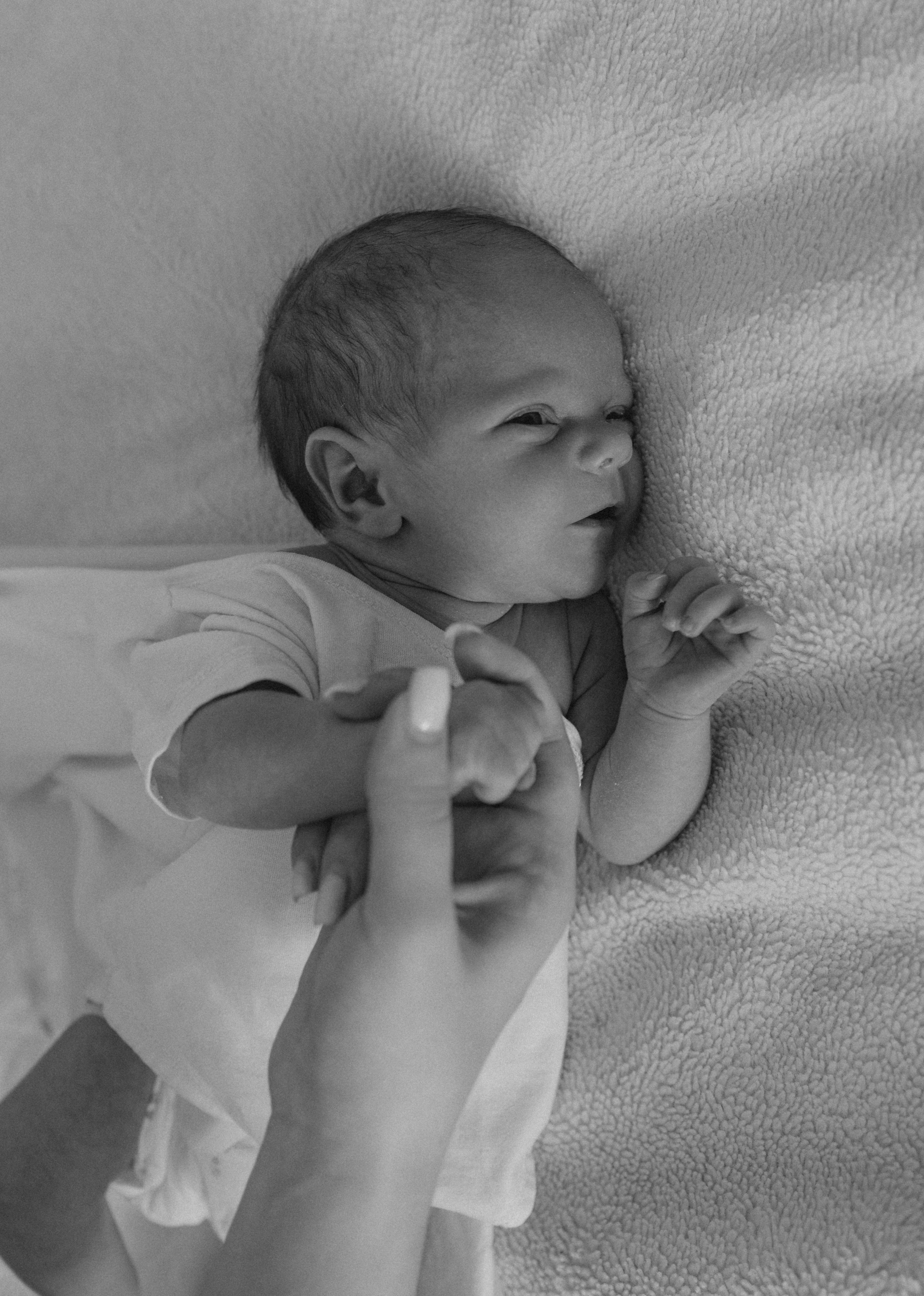 Сашенька. Свадебный и семейный фотограф в Москве Дарья Тюленева