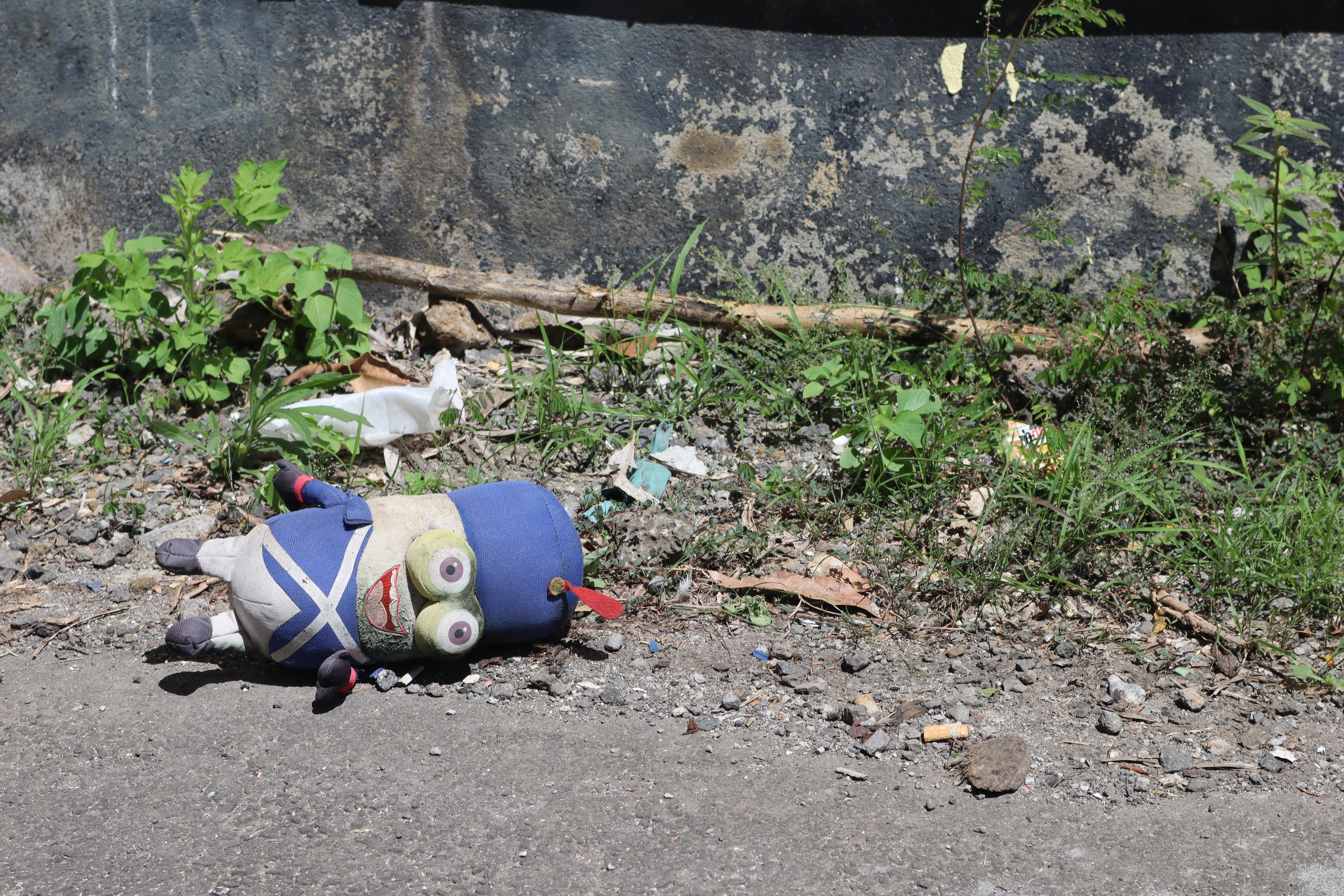 Путешествие на родину птицы додо. Travel photographer Ksenia