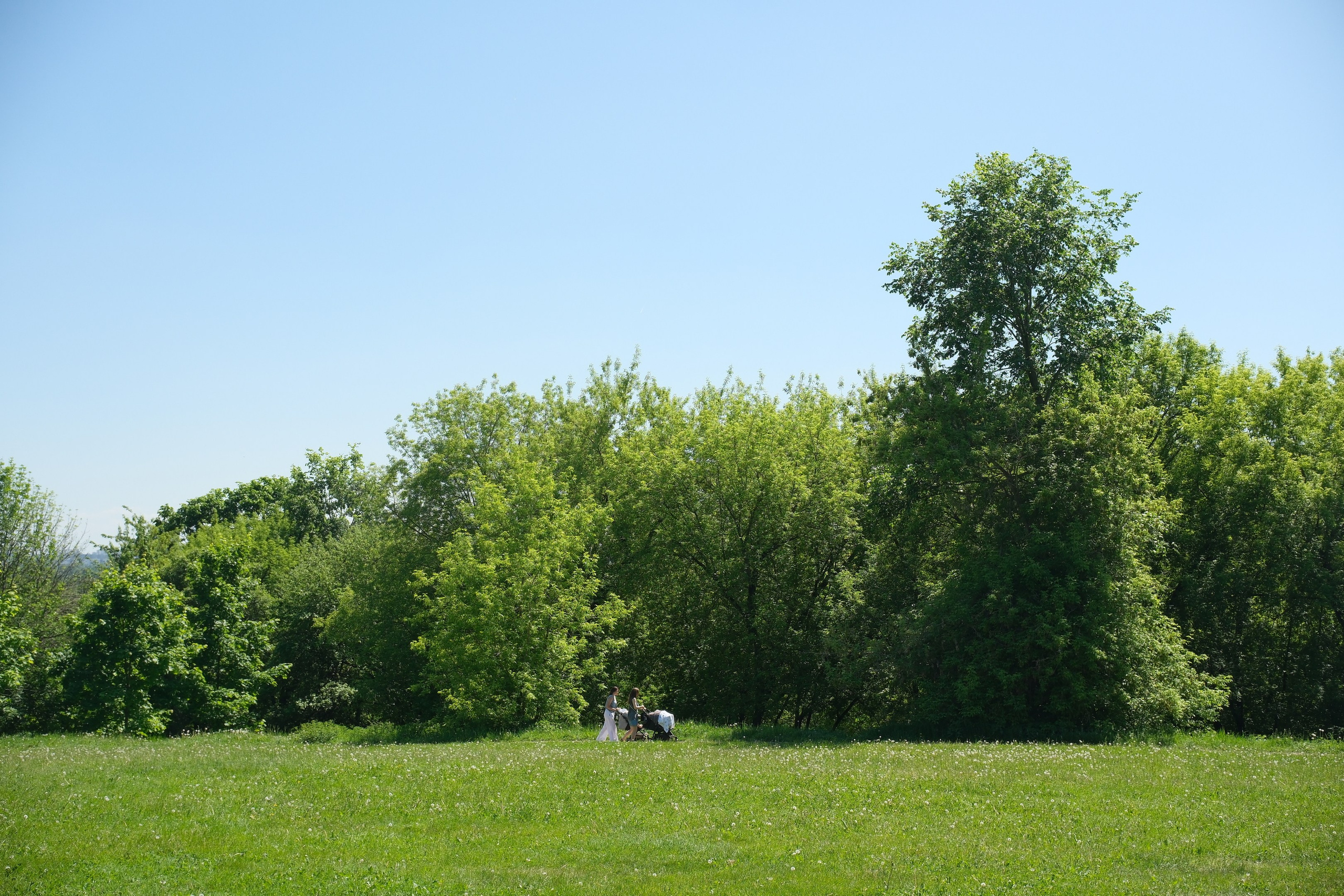 Коломенское 2024. Улица, люди, жизнь…