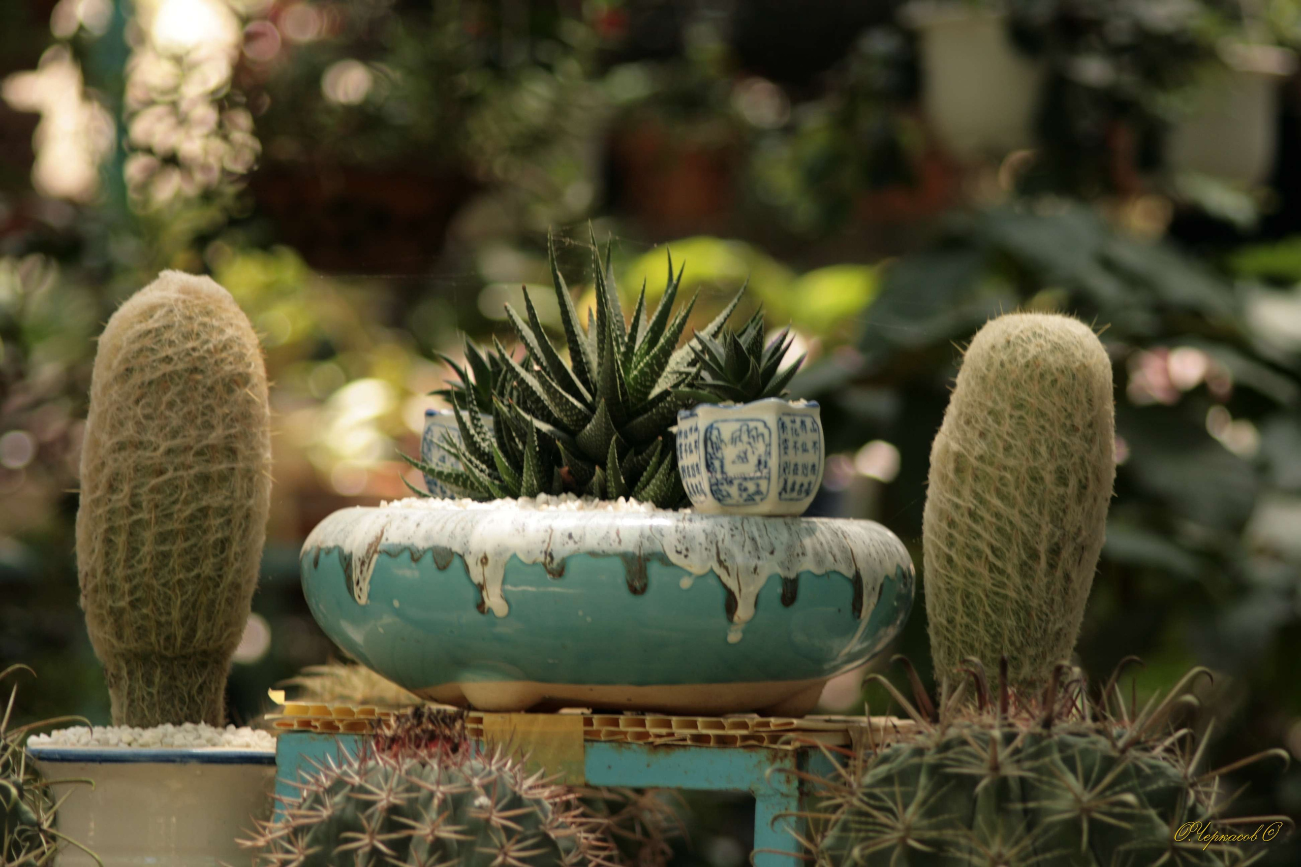 Вьетнам 2008 г. Улица, люди, жизнь…