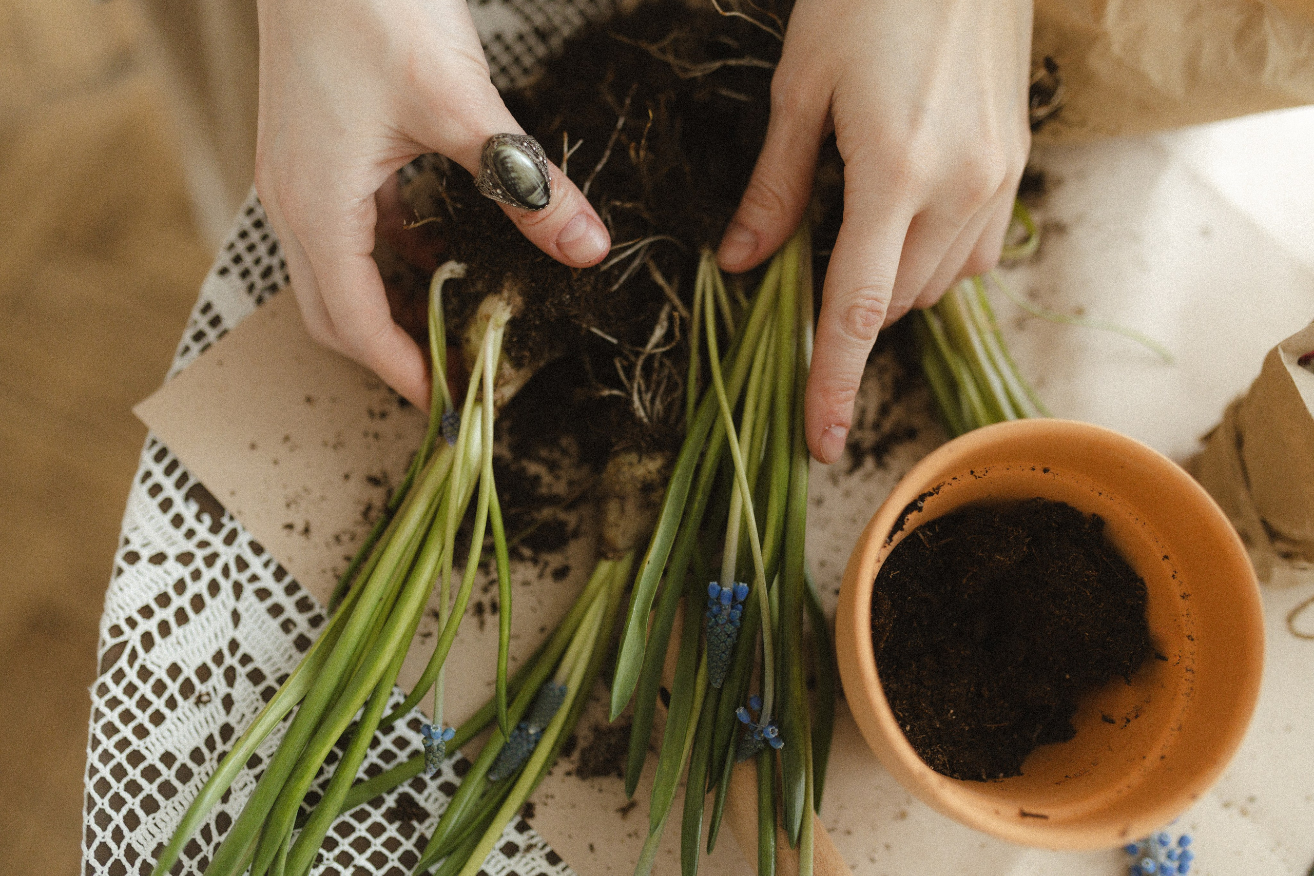 Девочки в цветах. Семейный фотограф в Москве Алина Савченко