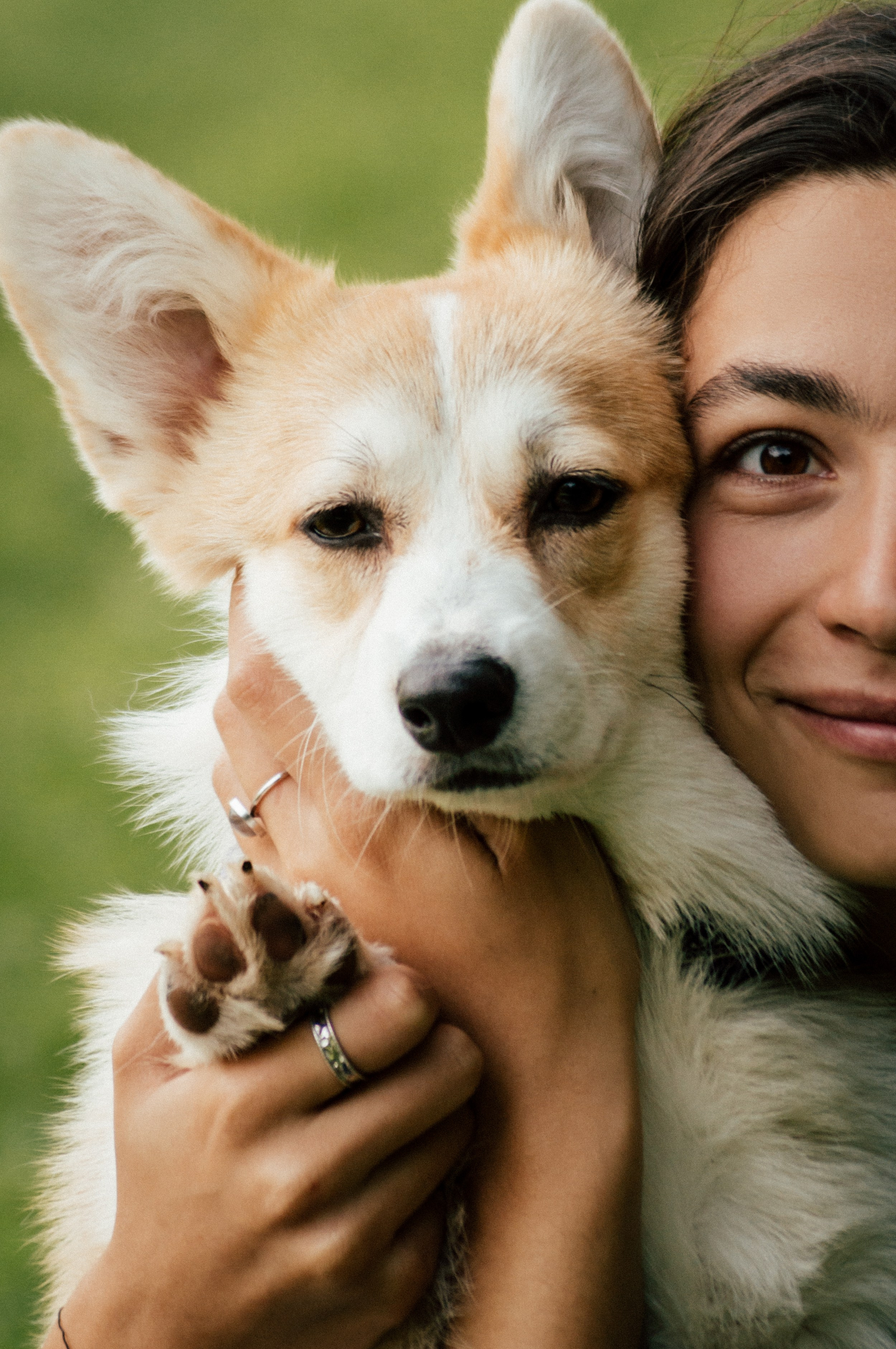 Фотосессия с собакой сахалин. Фотограф сахалин