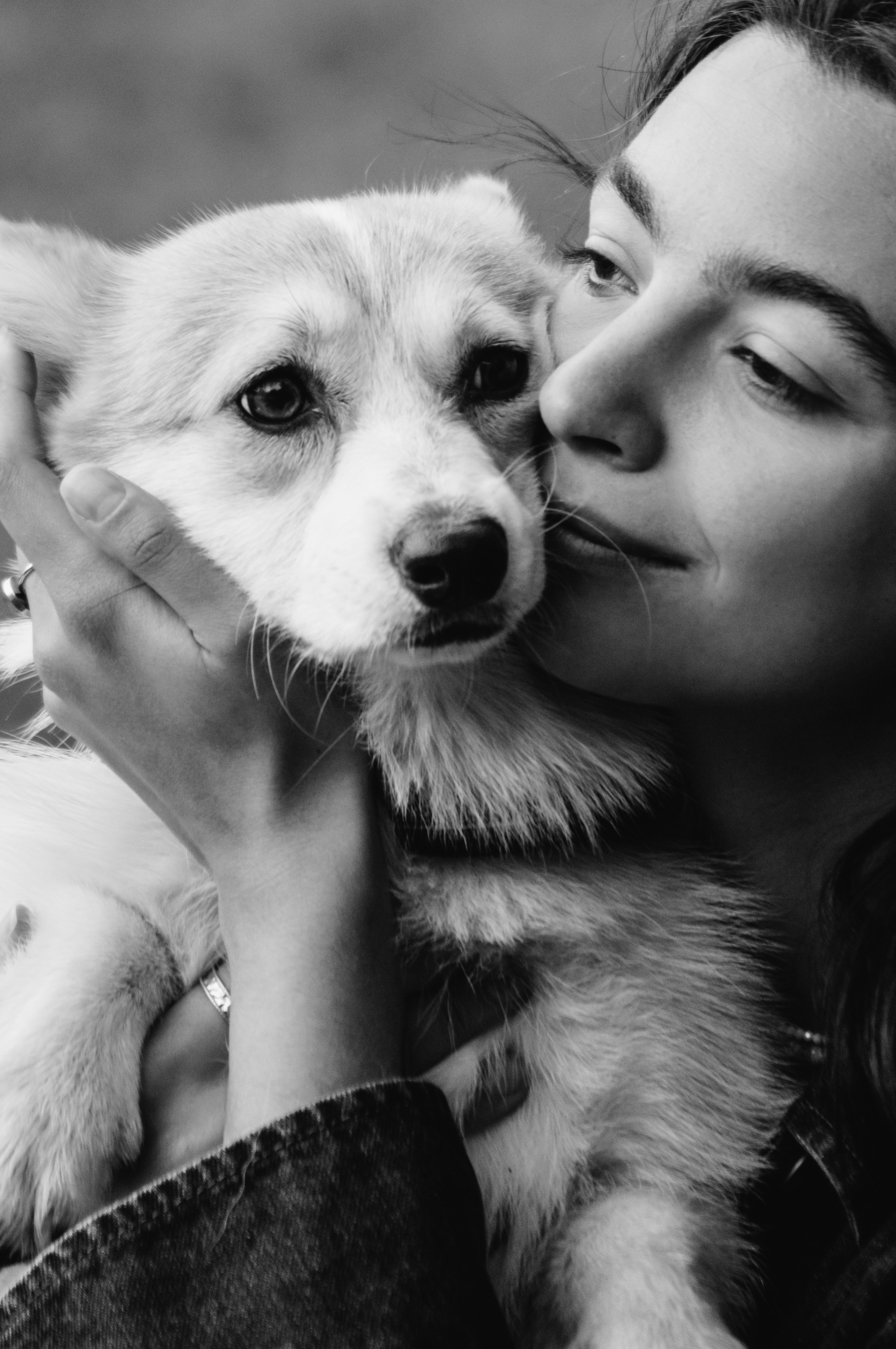 Фотосессия с собакой сахалин. Фотограф сахалин