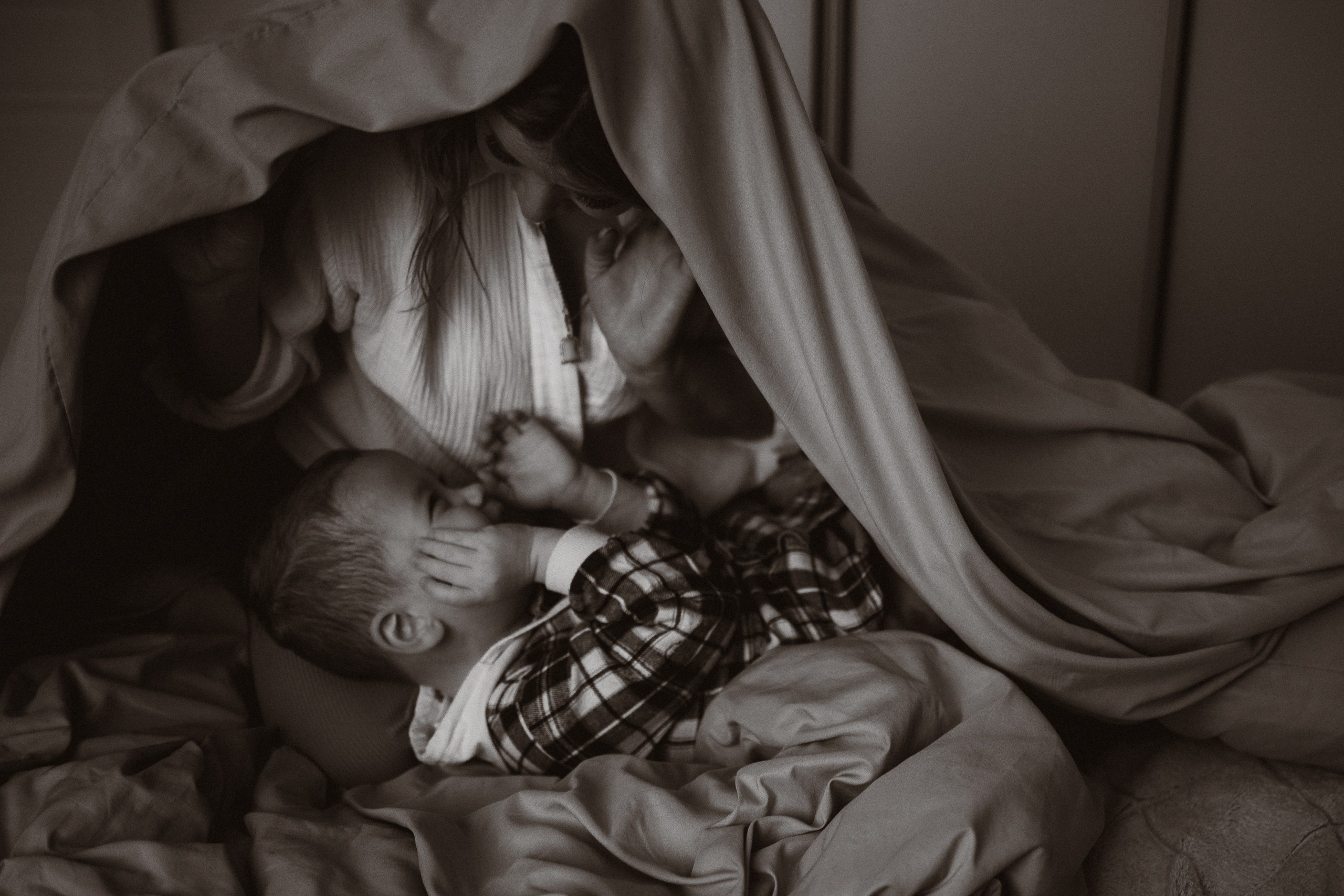 Мохнатое счастье