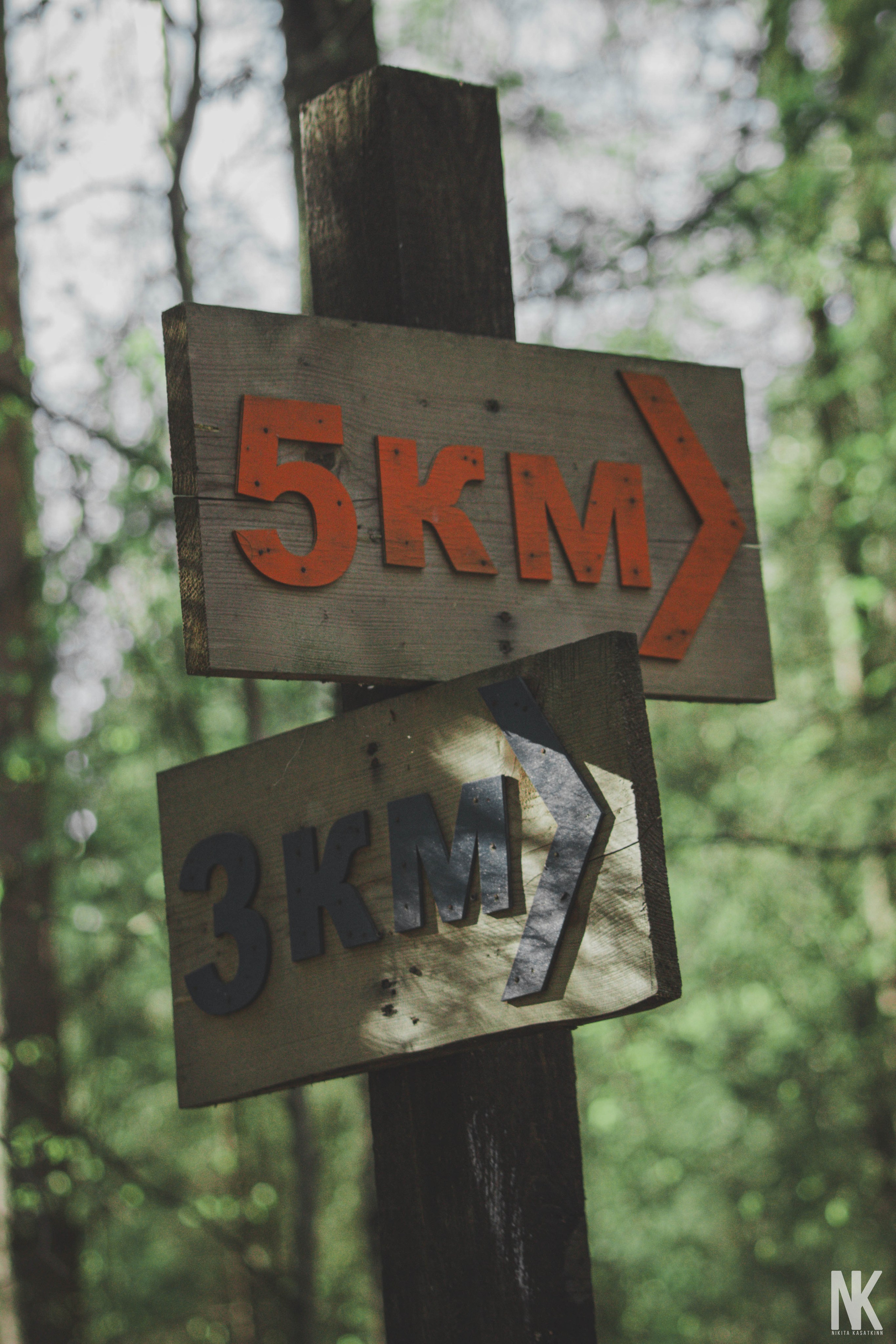 Саша. Фотосессия в лесу. Касаткин Никита. Фотограф