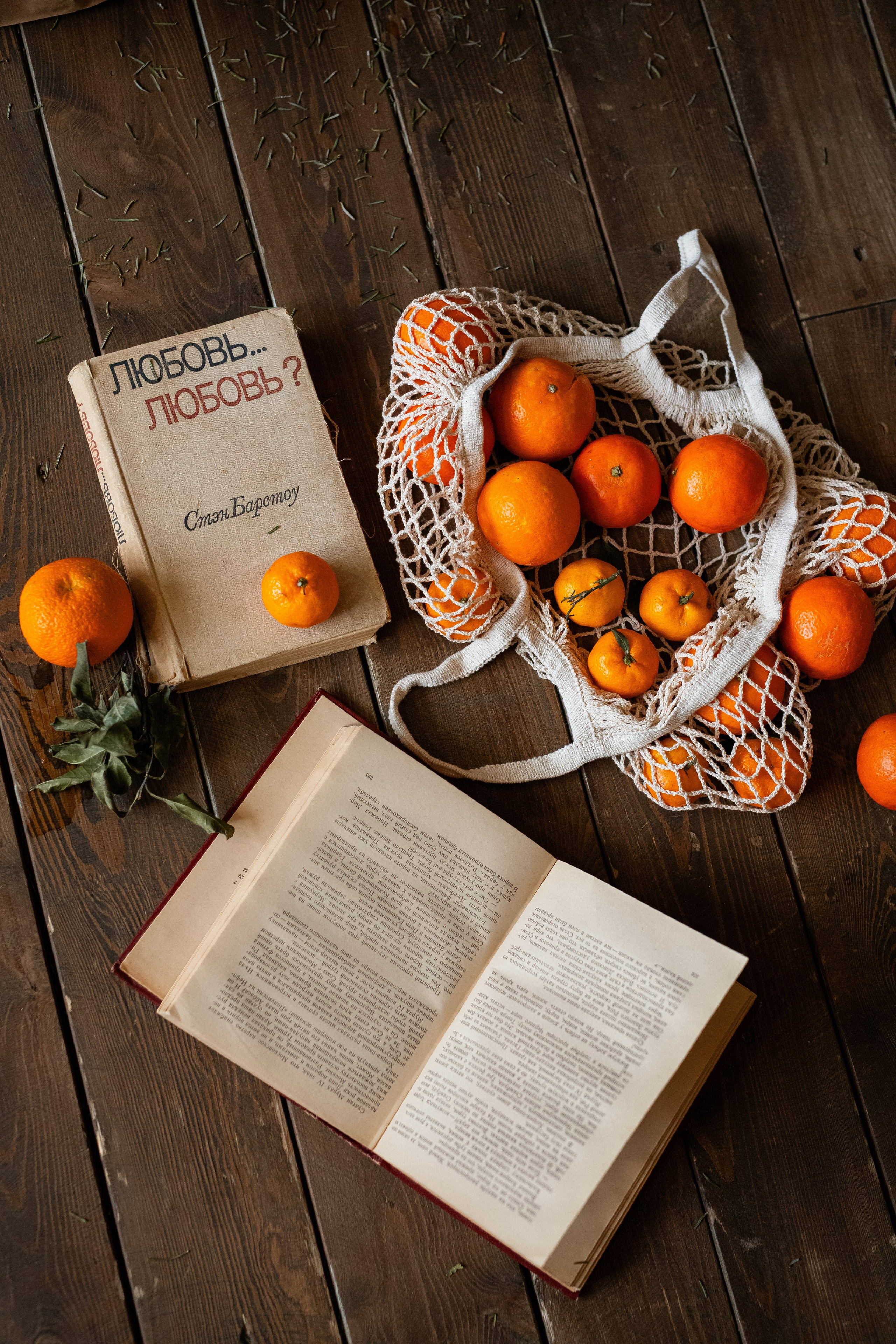 Новогодняя Семейная. Фотограф Анастасия Петрова